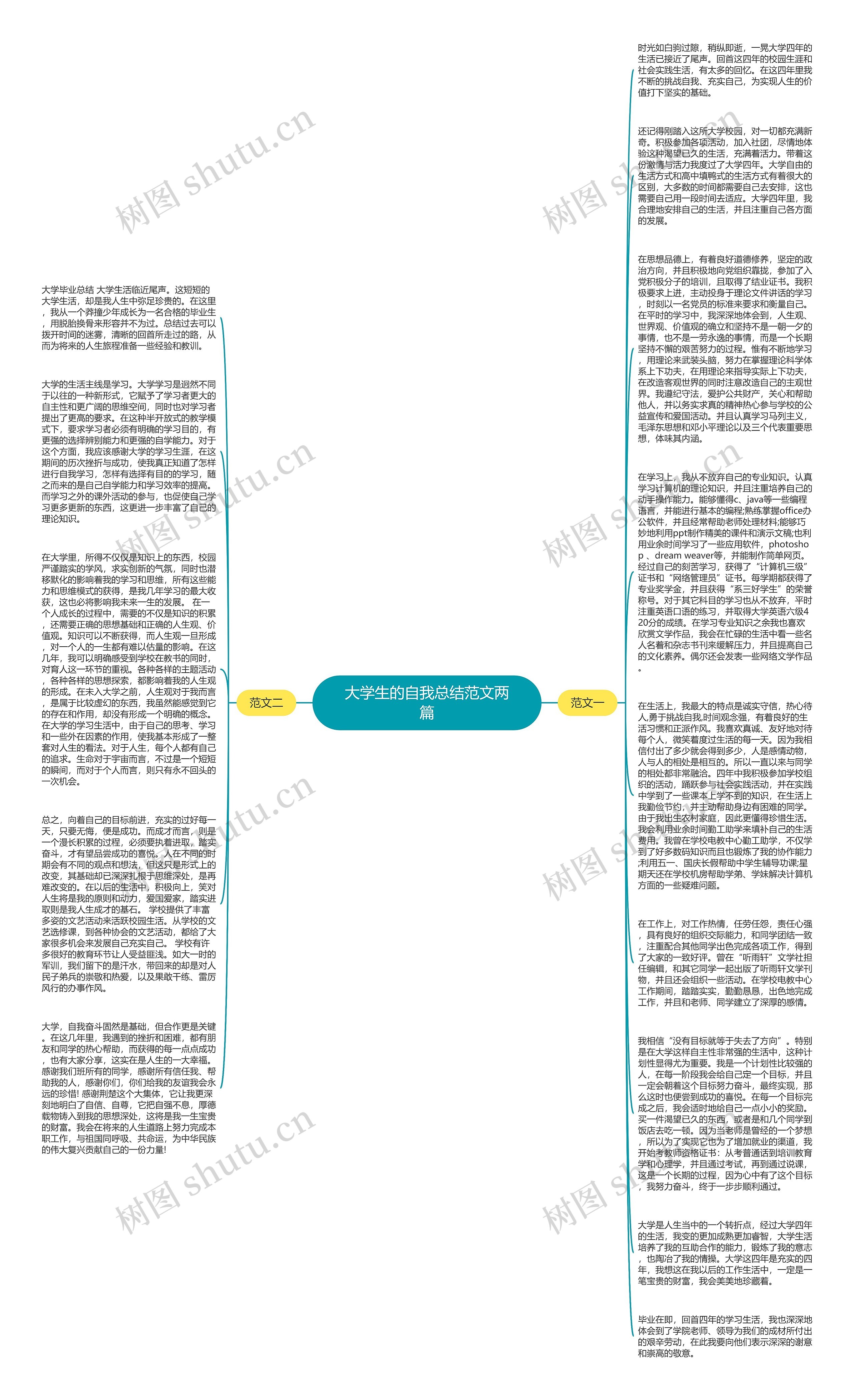 大学生的自我总结范文两篇思维导图