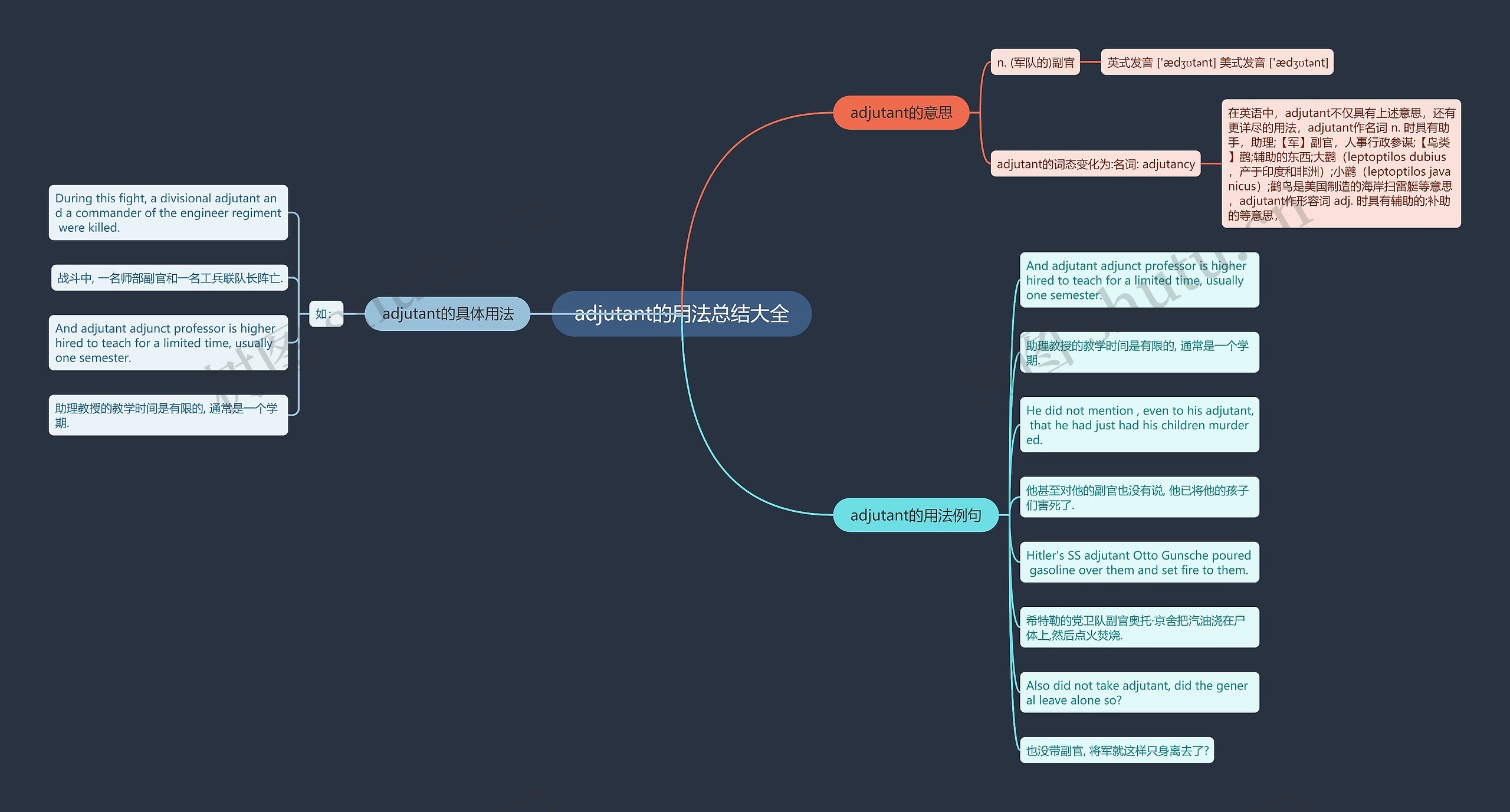 adjutant的用法总结大全思维导图