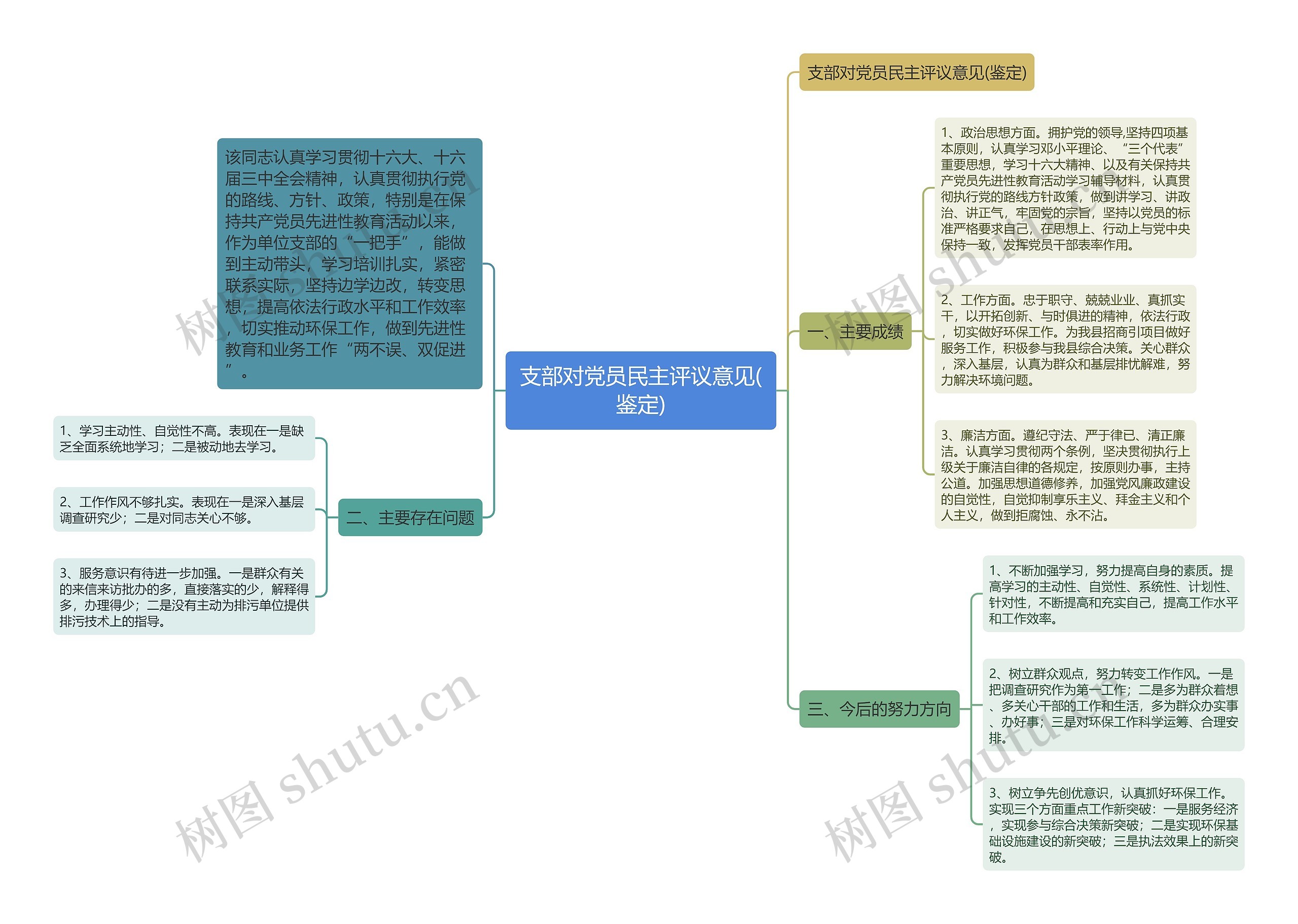 支部对党员民主评议意见(鉴定)思维导图