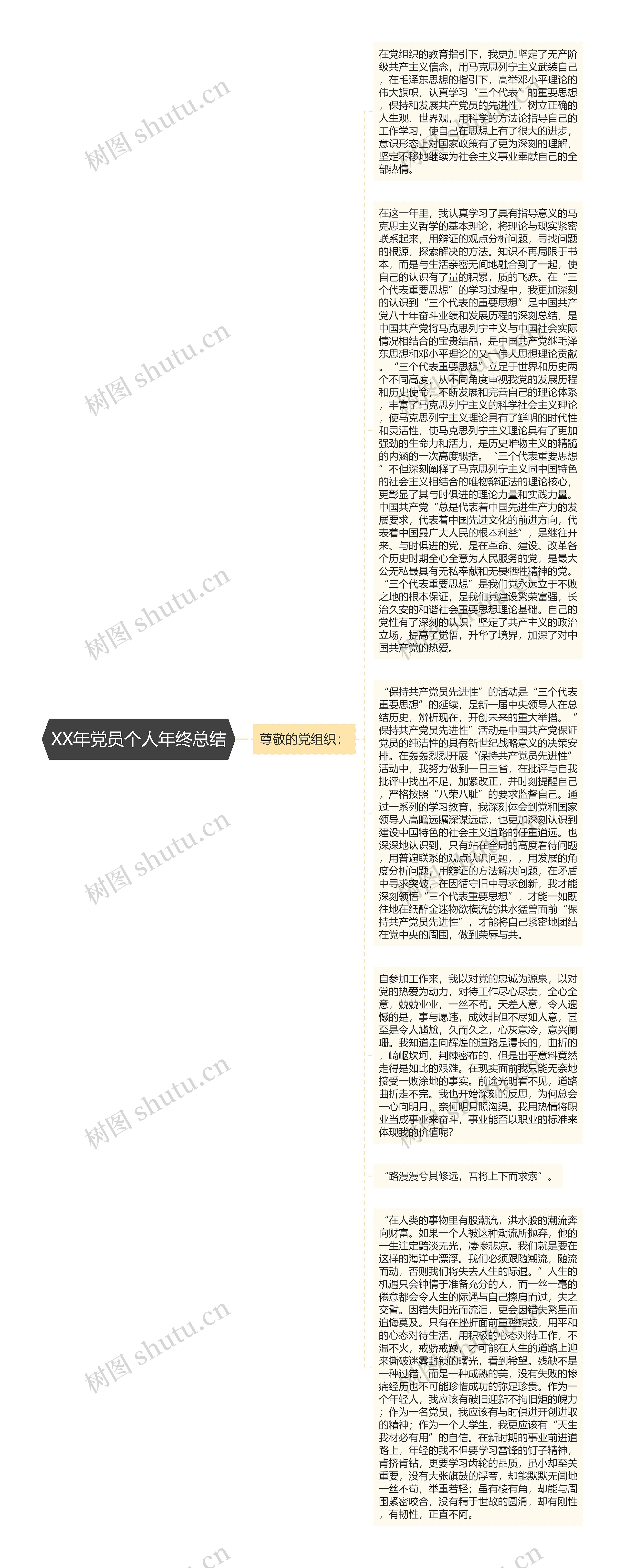 XX年党员个人年终总结