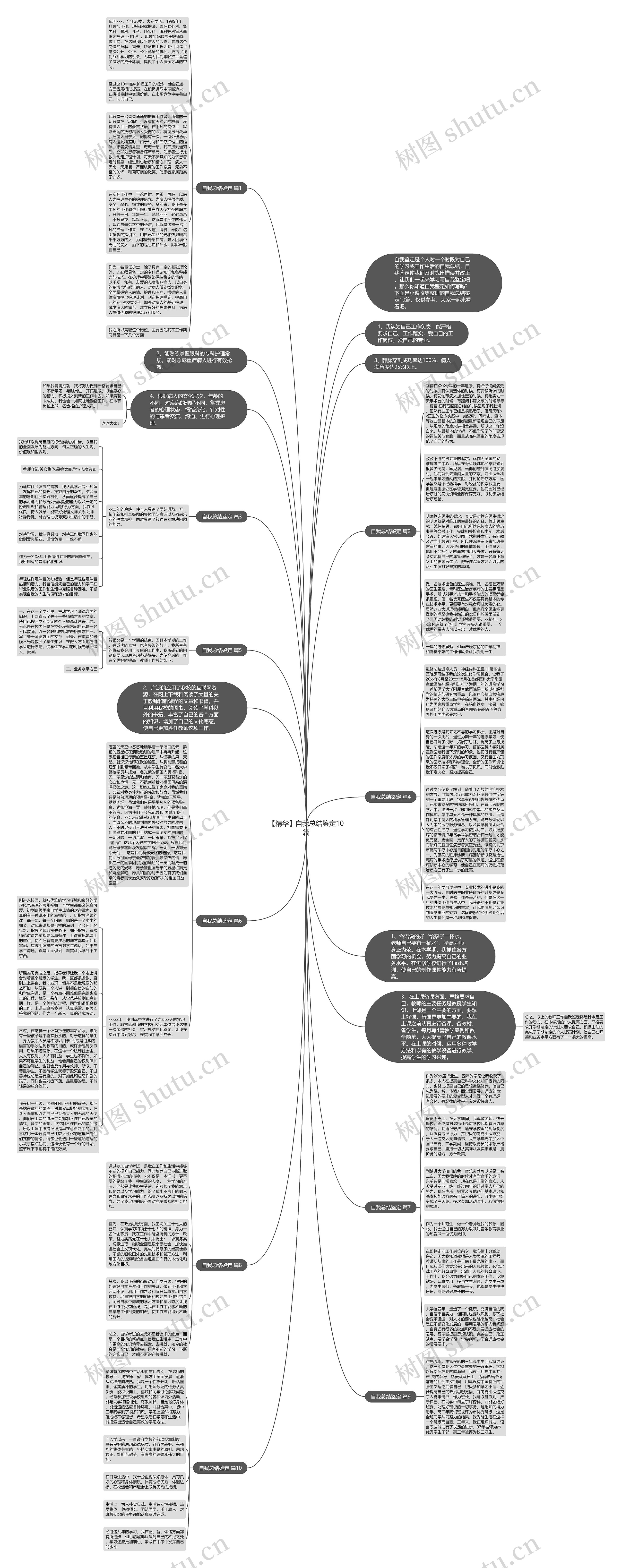 【精华】自我总结鉴定10篇思维导图