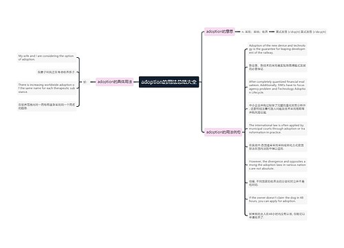 adoption的用法总结大全