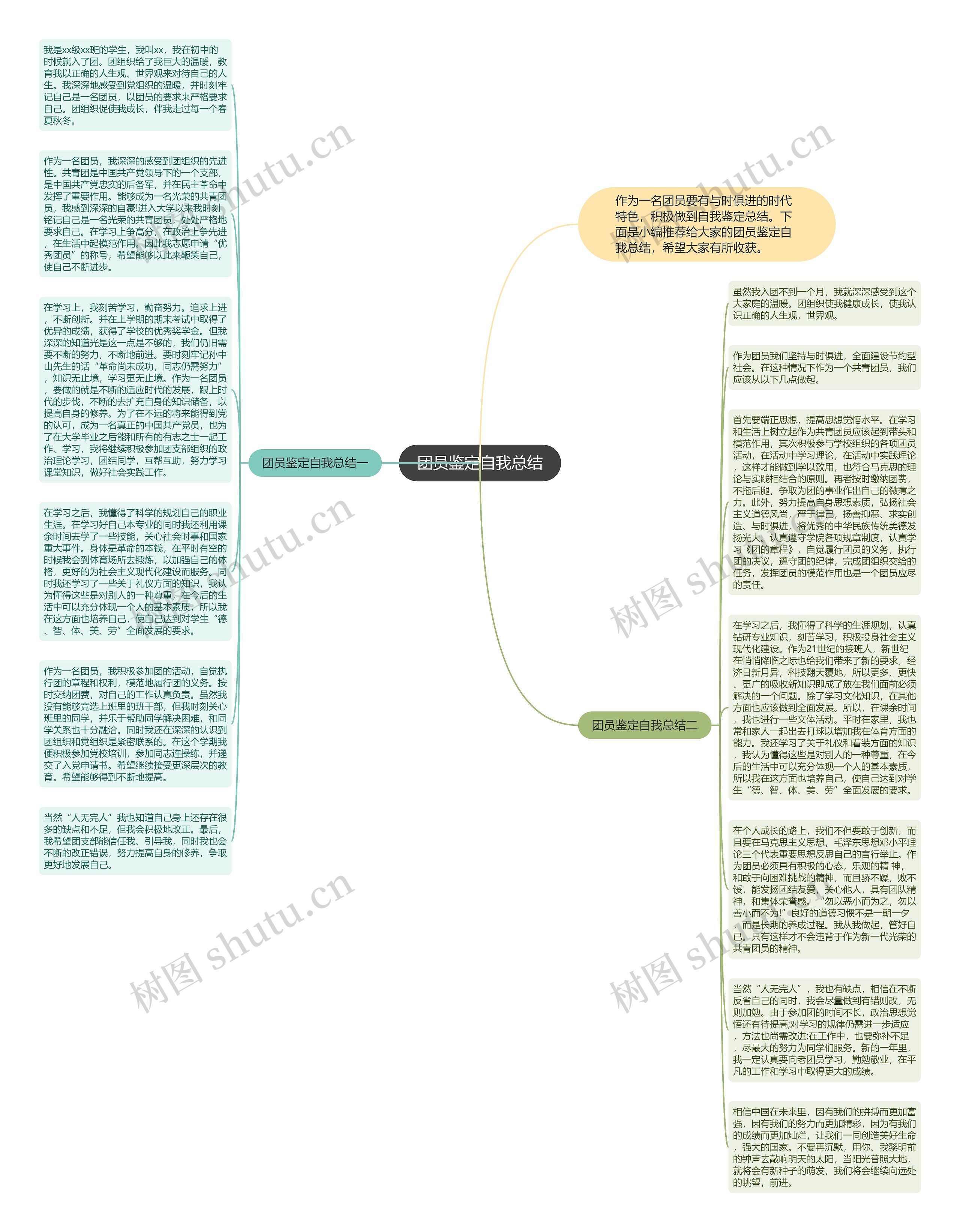 团员鉴定自我总结思维导图