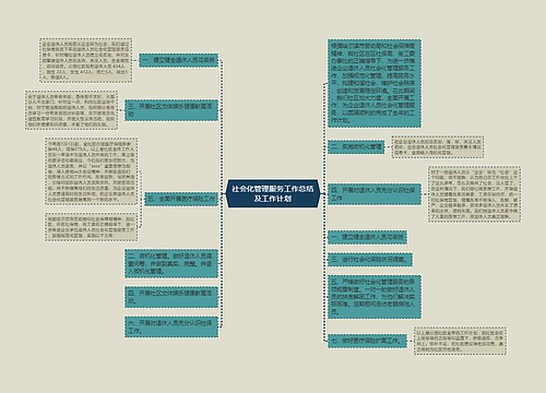 社会化管理服务工作总结及工作计划