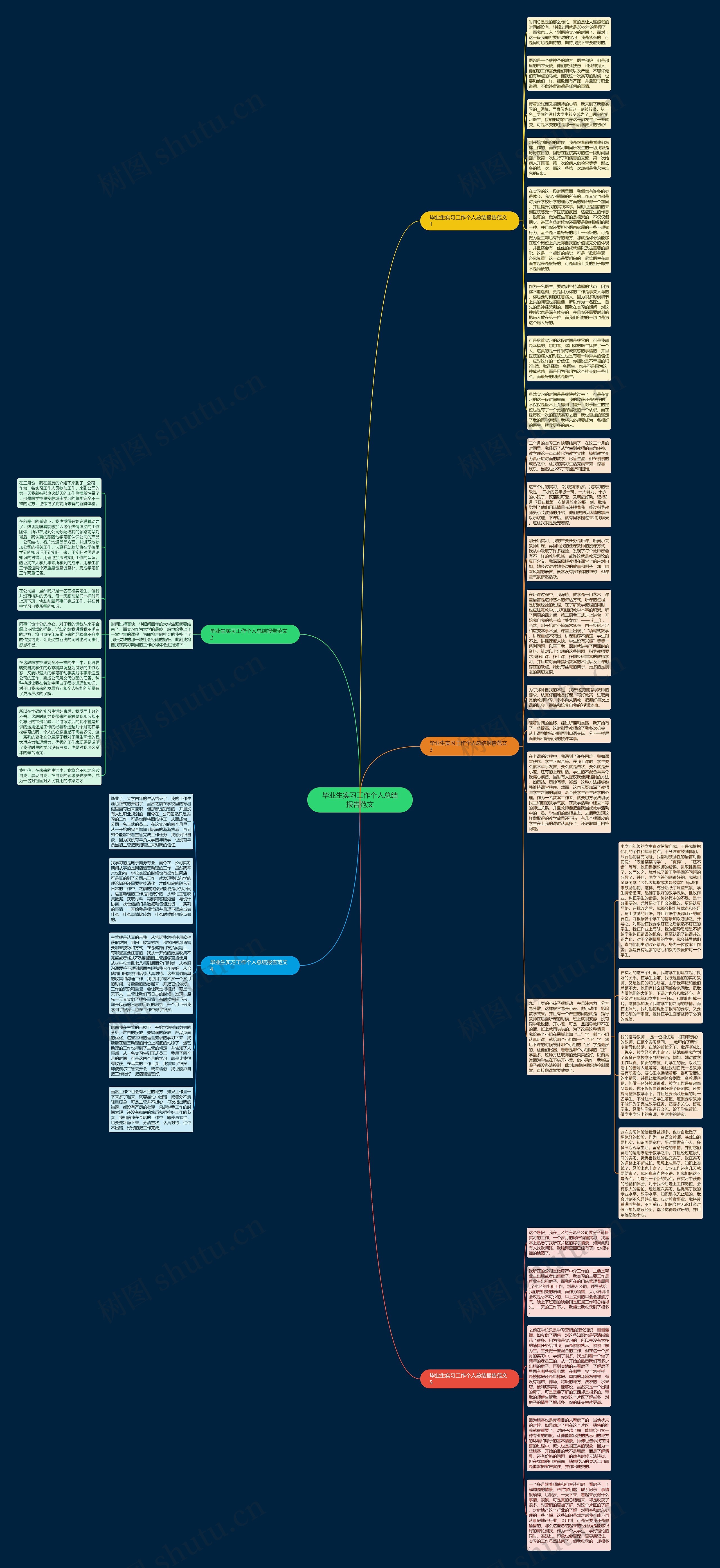毕业生实习工作个人总结报告范文思维导图