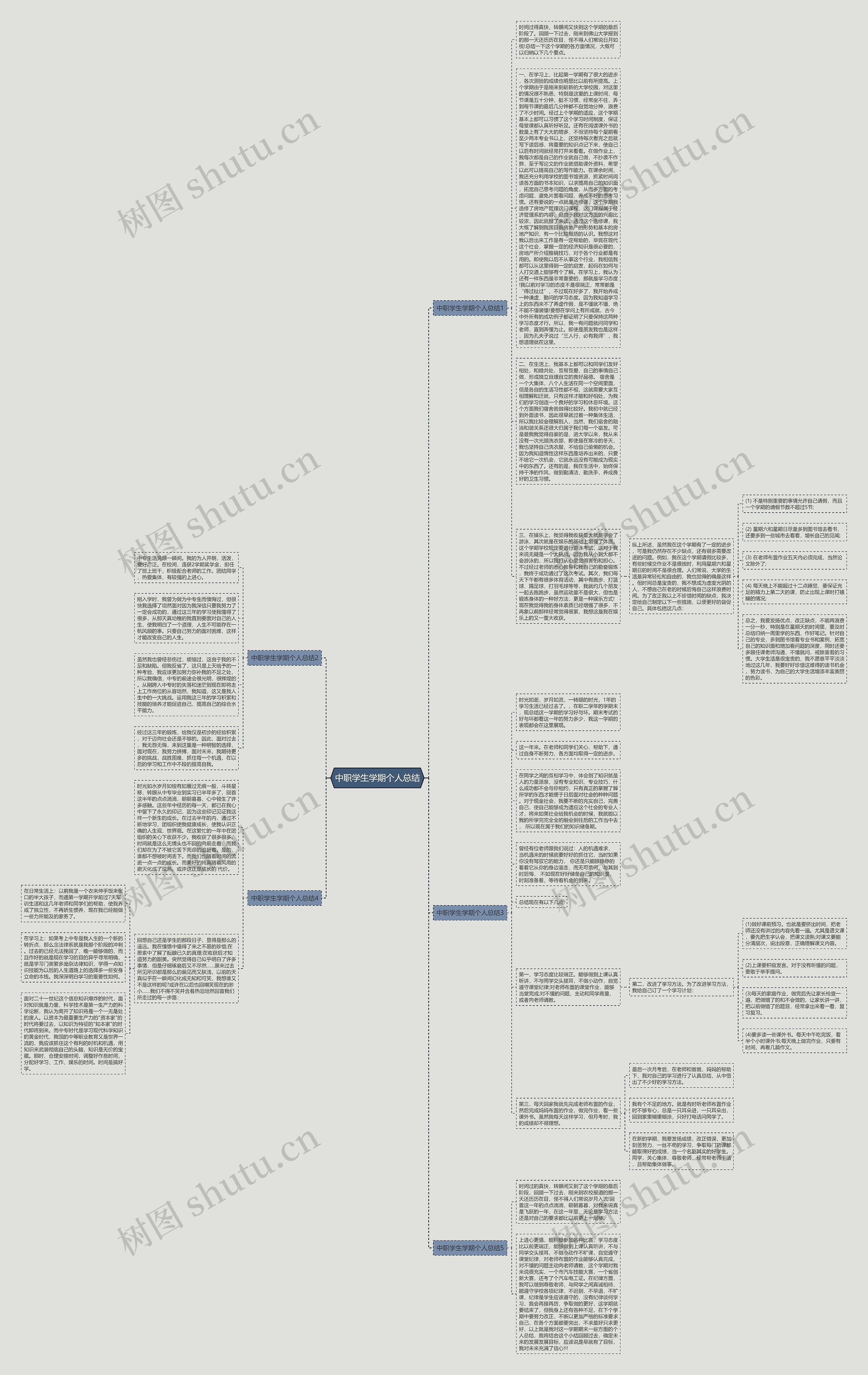 中职学生学期个人总结思维导图