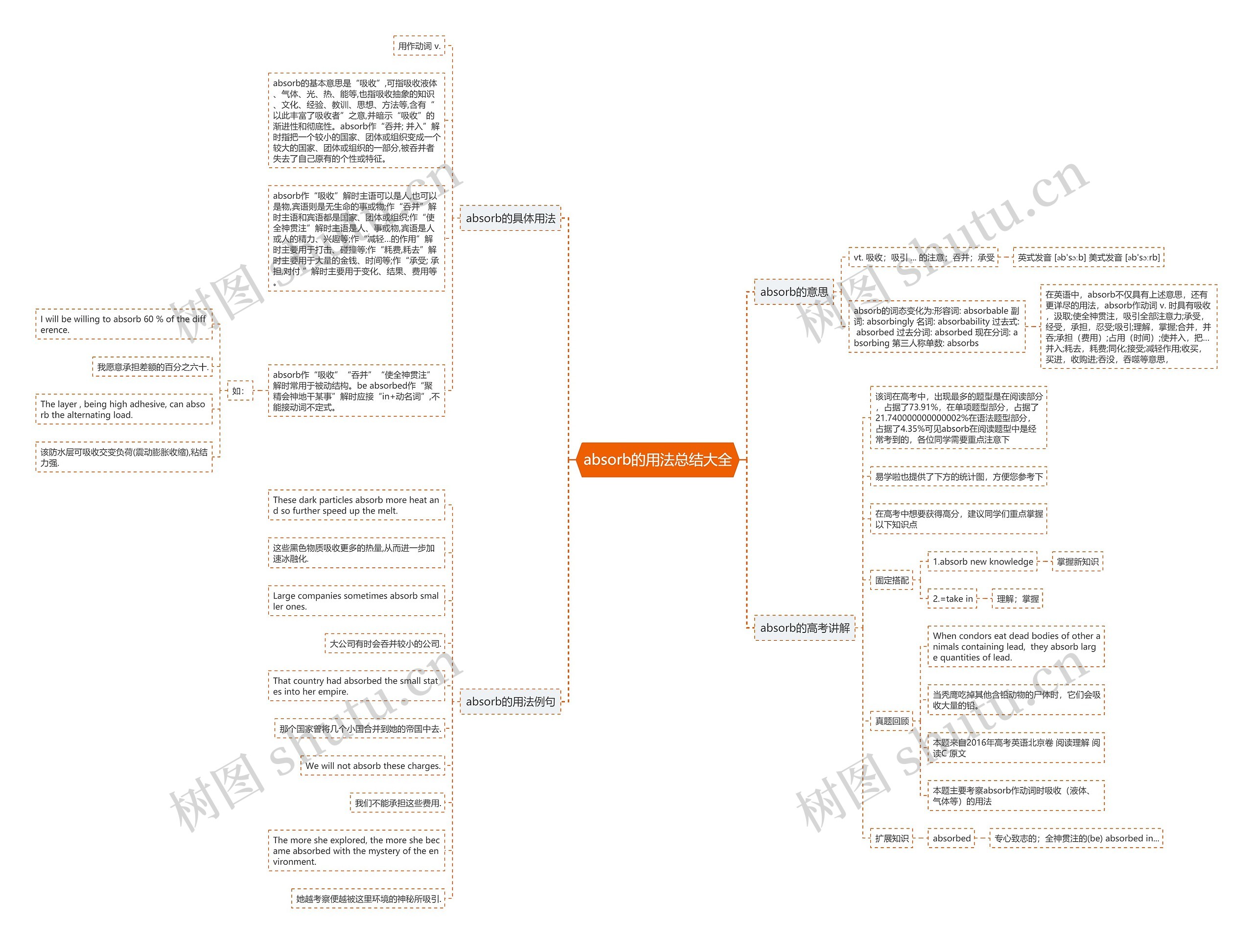 absorb的用法总结大全思维导图