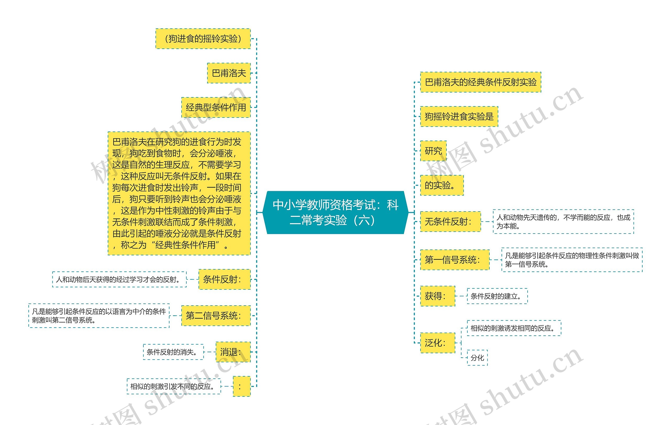 中小学教师资格考试：科二常考实验（六）思维导图