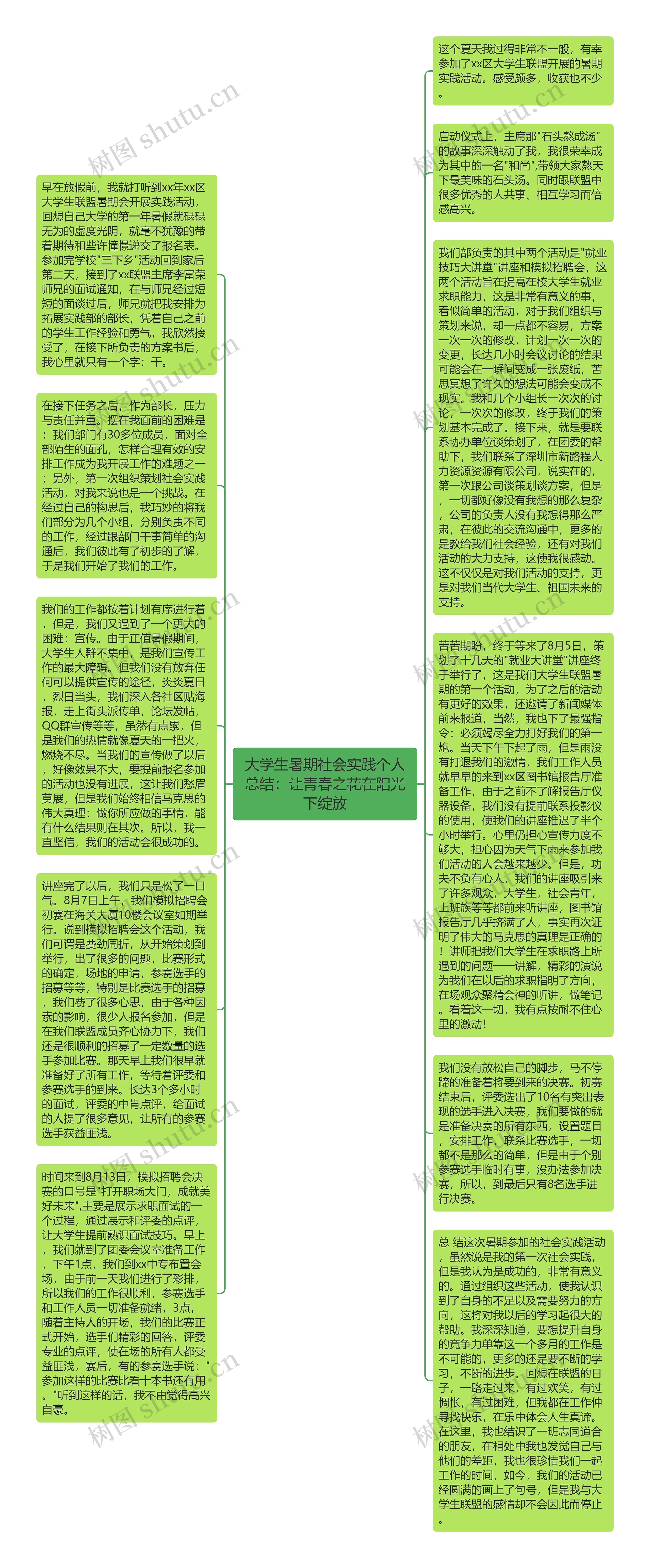 大学生暑期社会实践个人总结：让青春之花在阳光下绽放