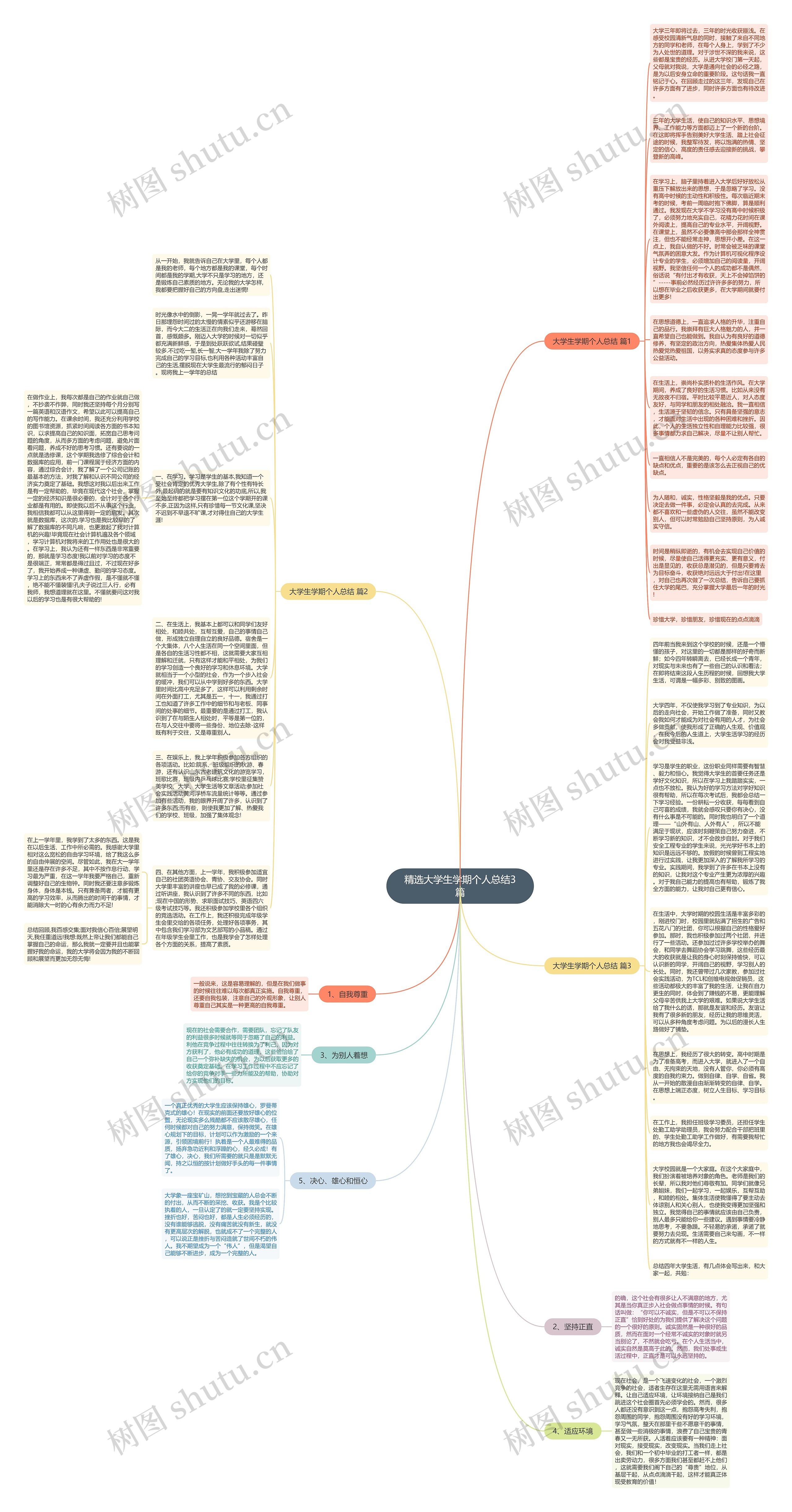 精选大学生学期个人总结3篇思维导图