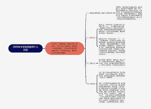 2009年中学党员教师个人总结
