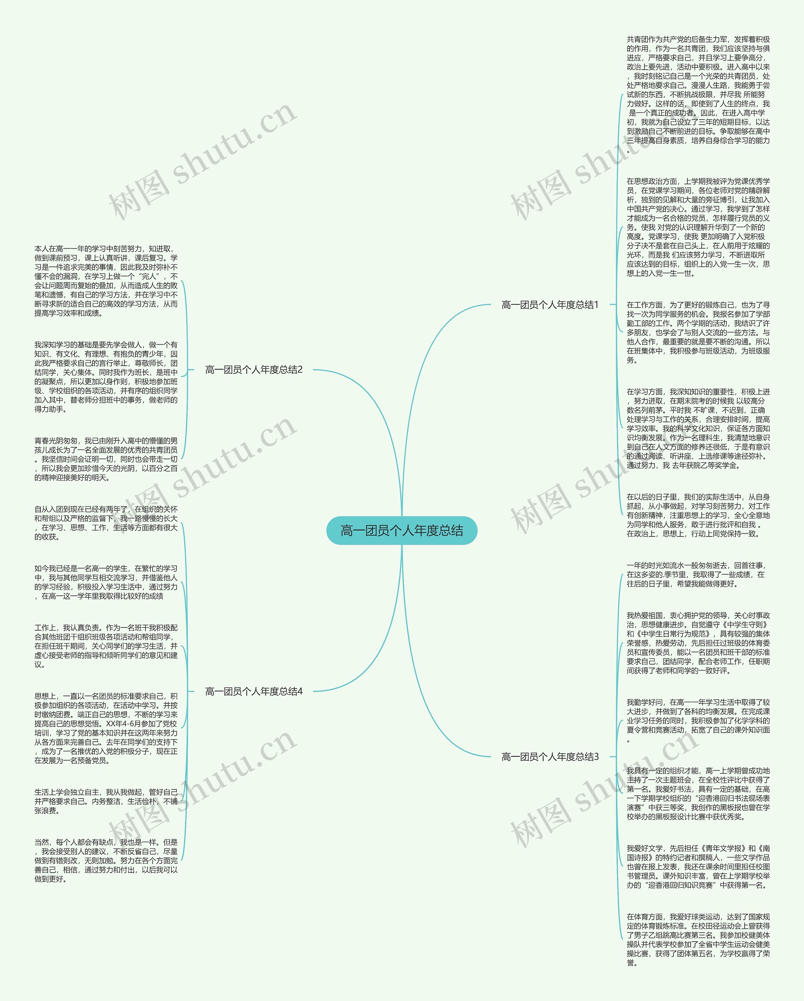 高一团员个人年度总结思维导图