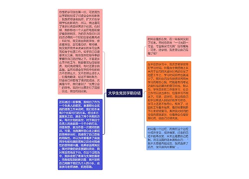 大学生党员学期总结