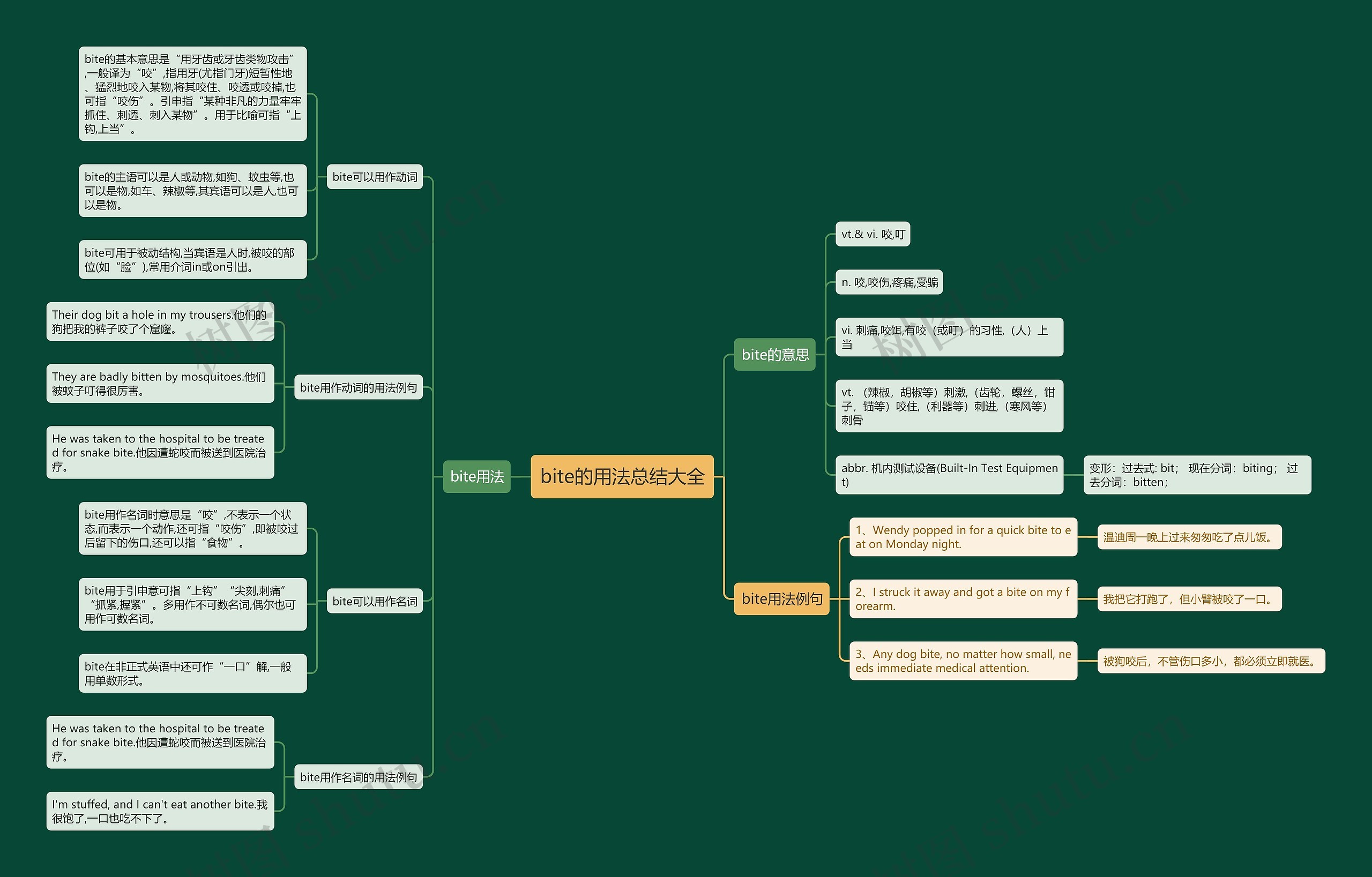 bite的用法总结大全思维导图