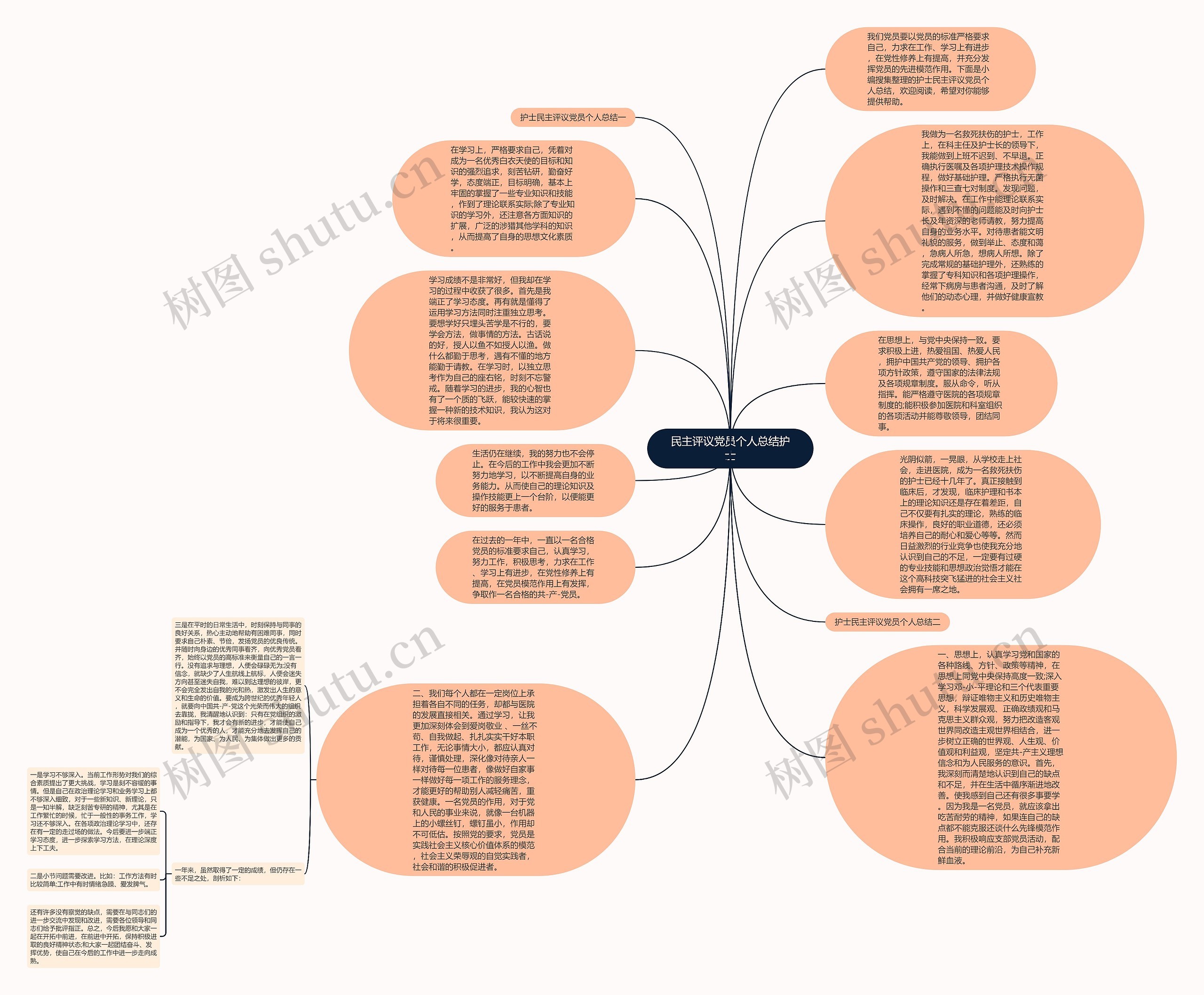 民主评议党员个人总结护士思维导图