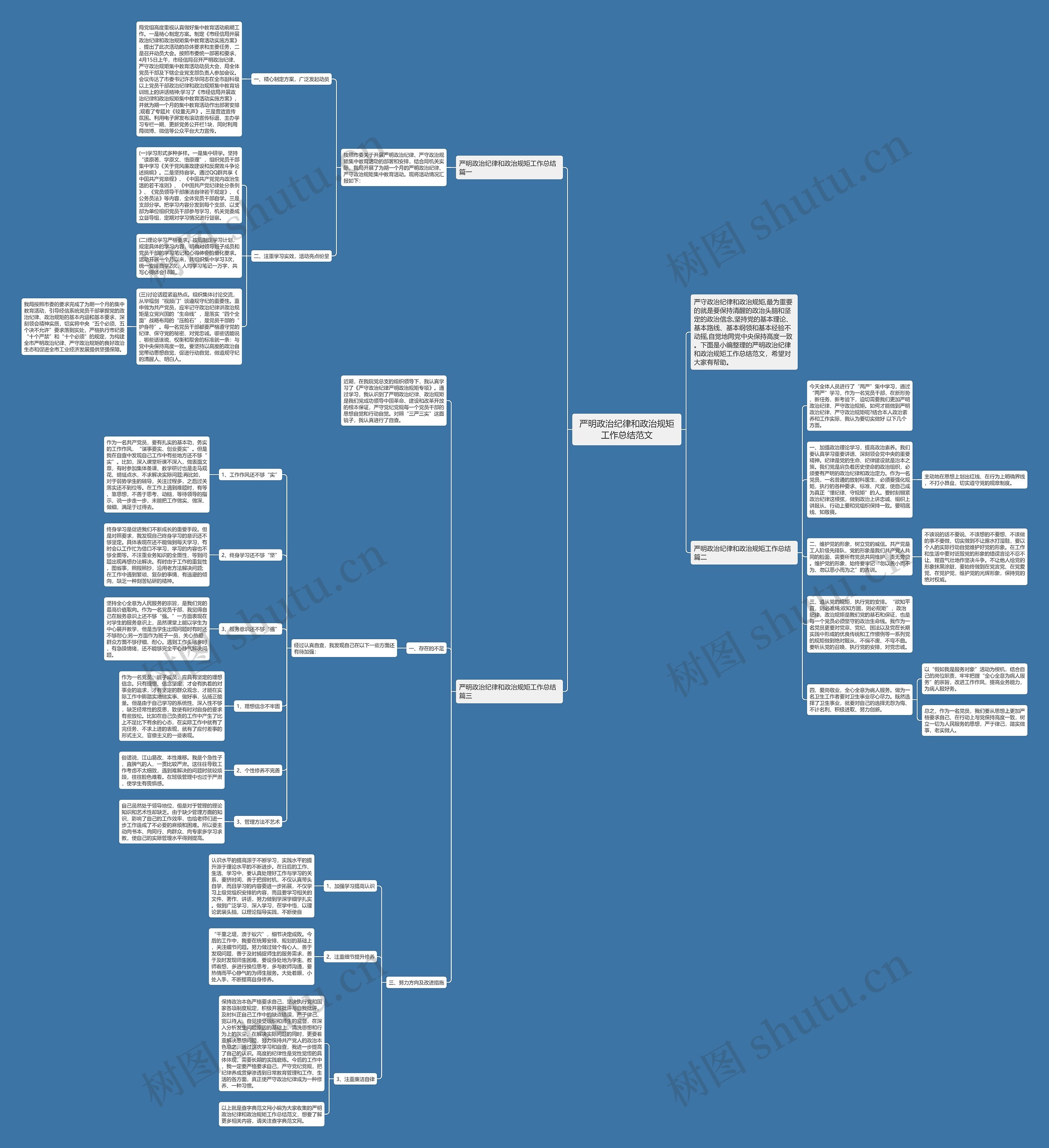 严明政治纪律和政治规矩工作总结范文思维导图