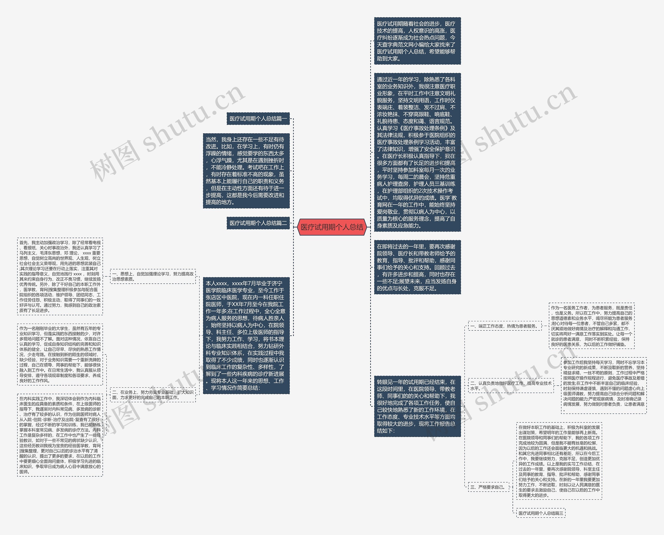 医疗试用期个人总结思维导图