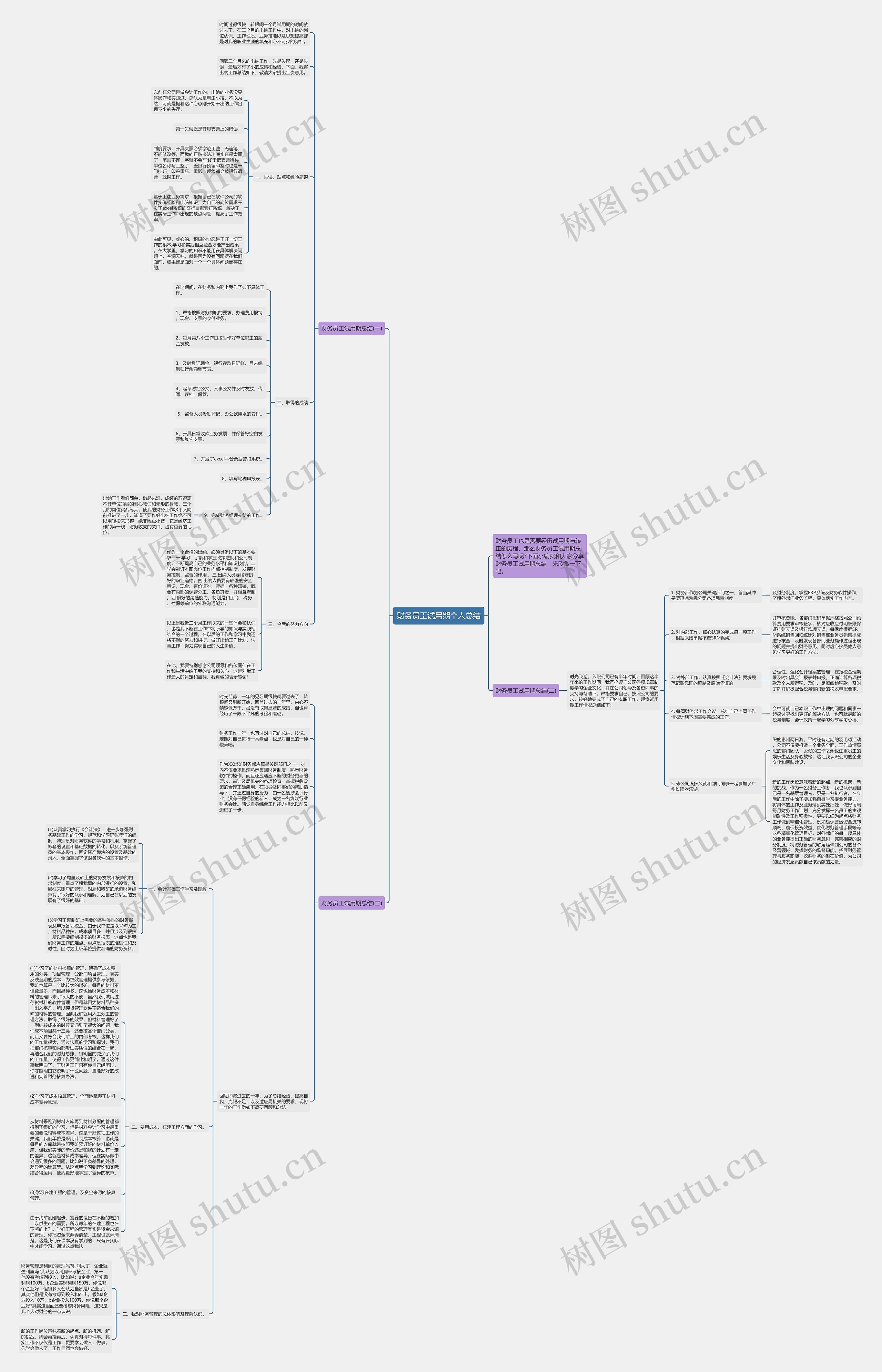 财务员工试用期个人总结思维导图