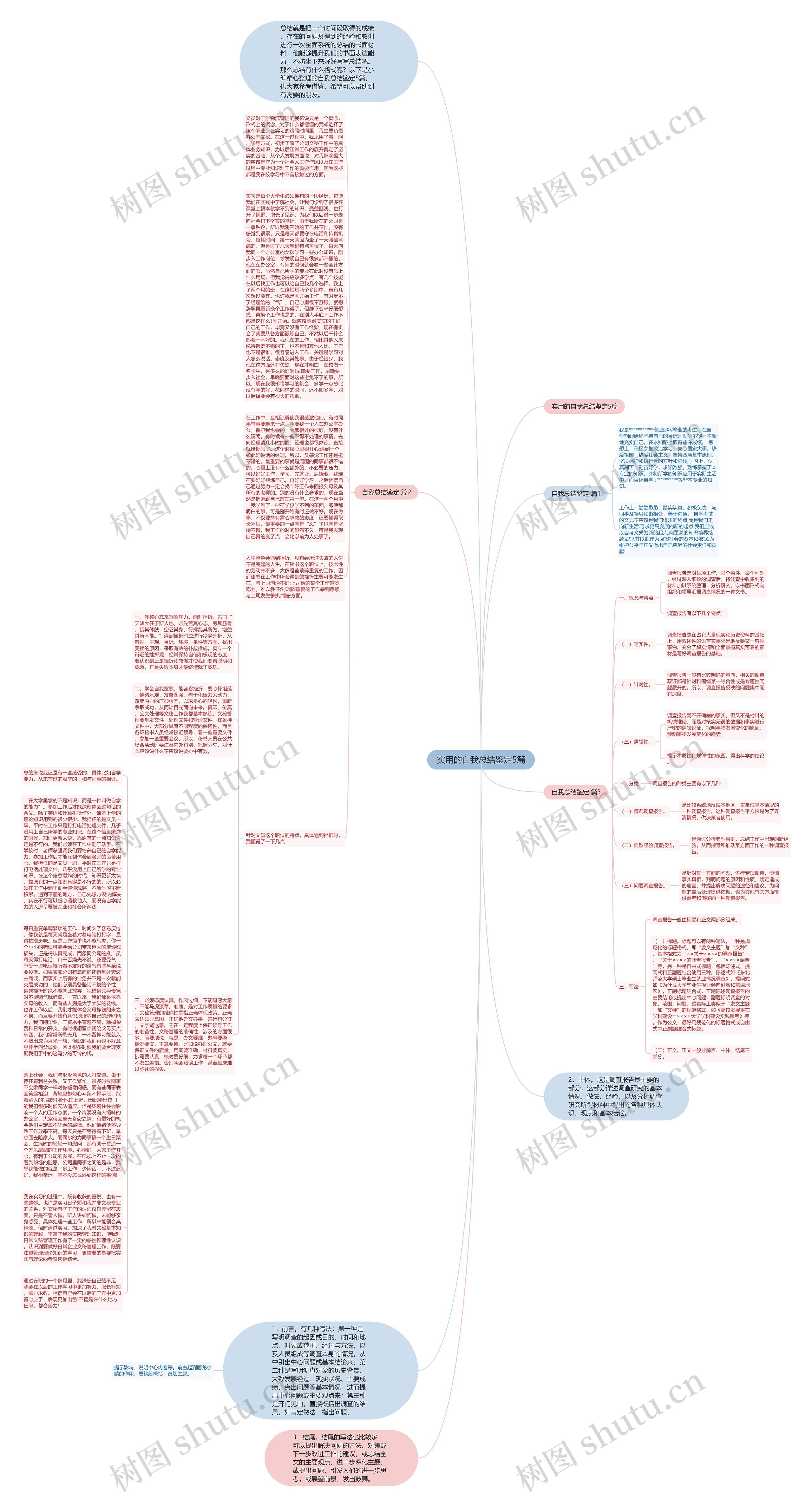 实用的自我总结鉴定5篇思维导图