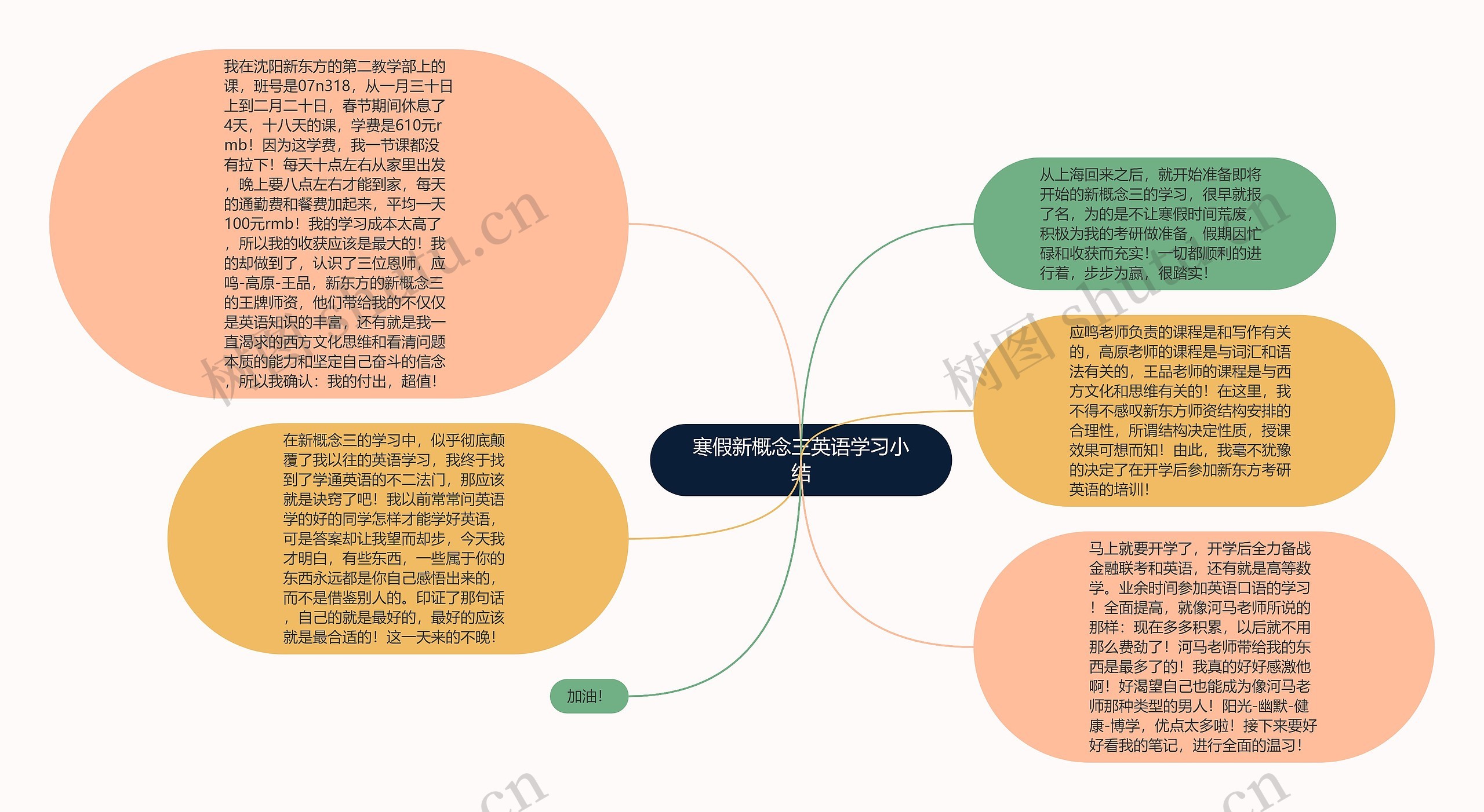 寒假新概念三英语学习小结思维导图