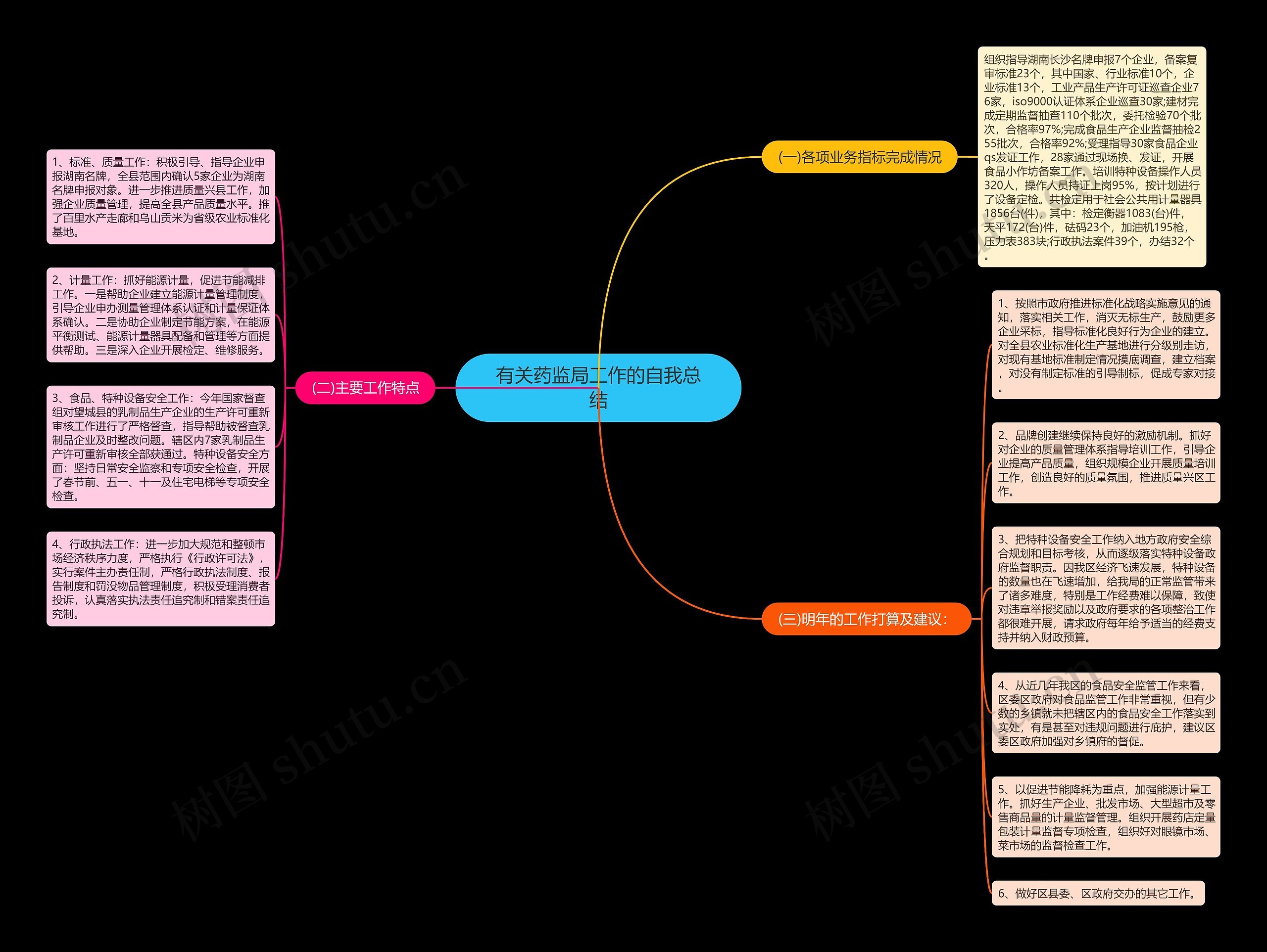 有关药监局工作的自我总结思维导图