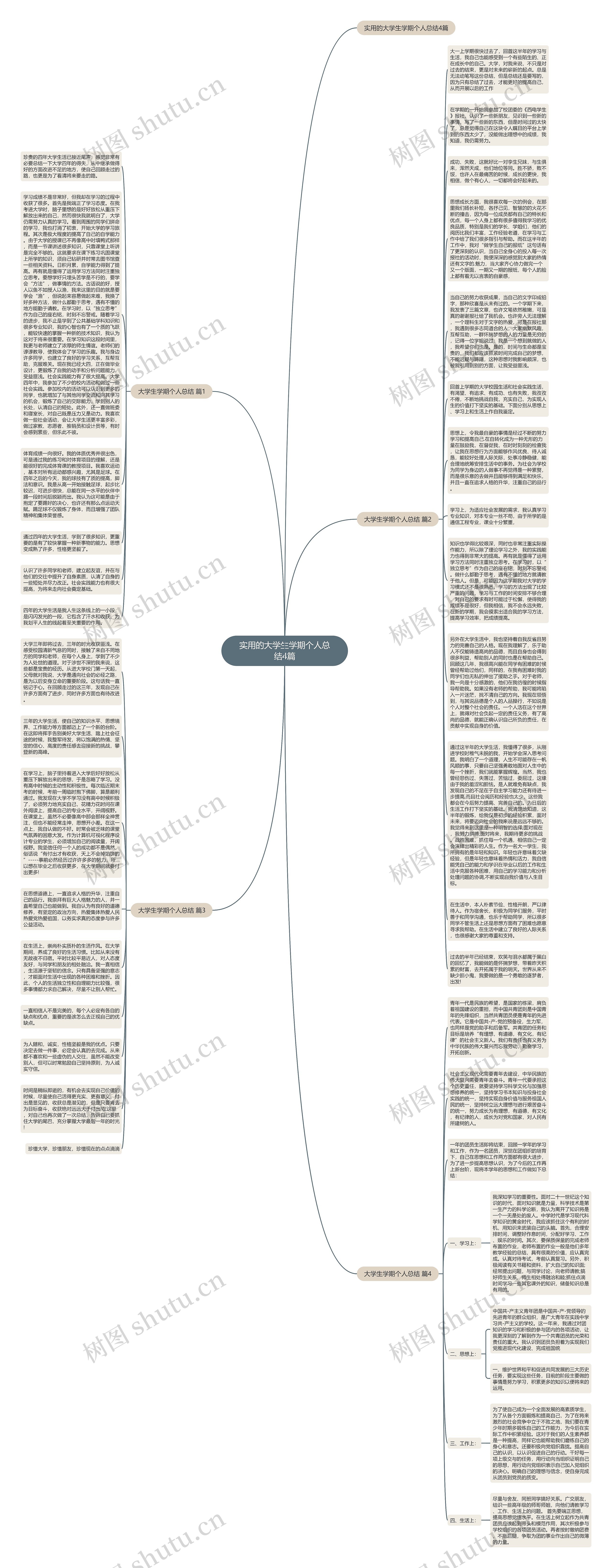 实用的大学生学期个人总结4篇思维导图