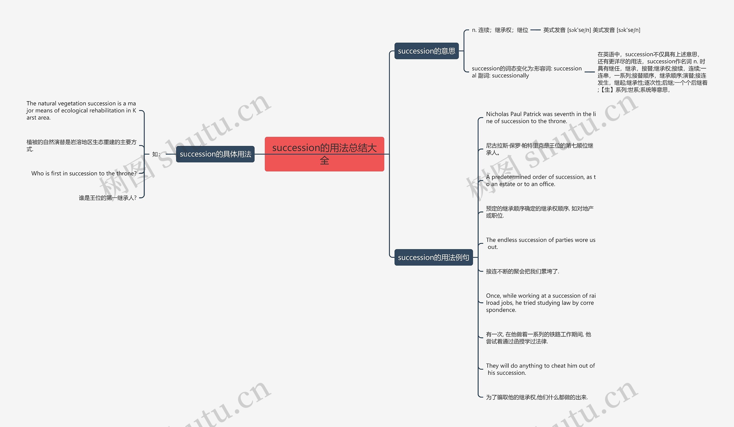 succession的用法总结大全思维导图