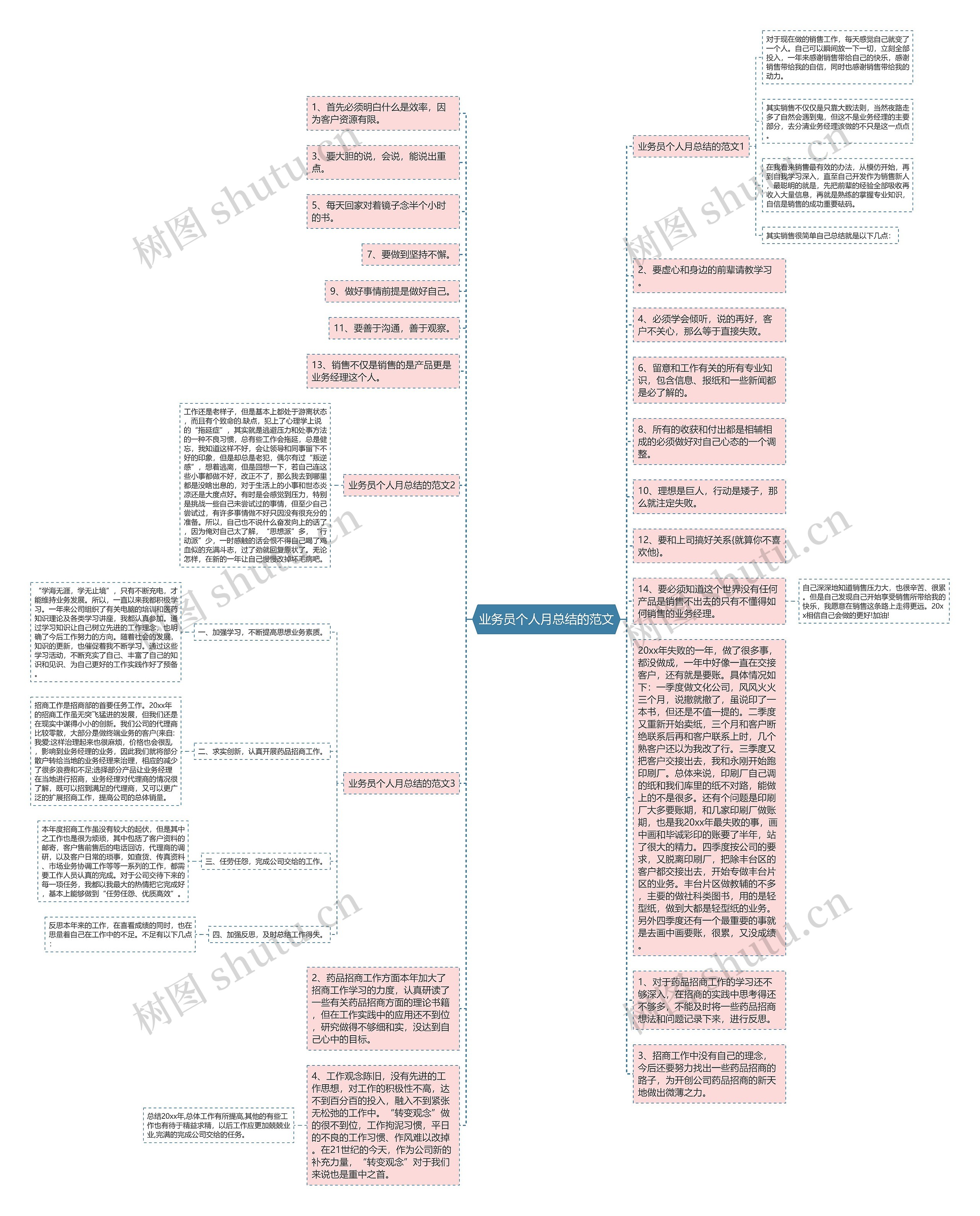 业务员个人月总结的范文思维导图
