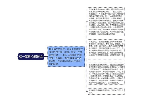 初一军训心得体会