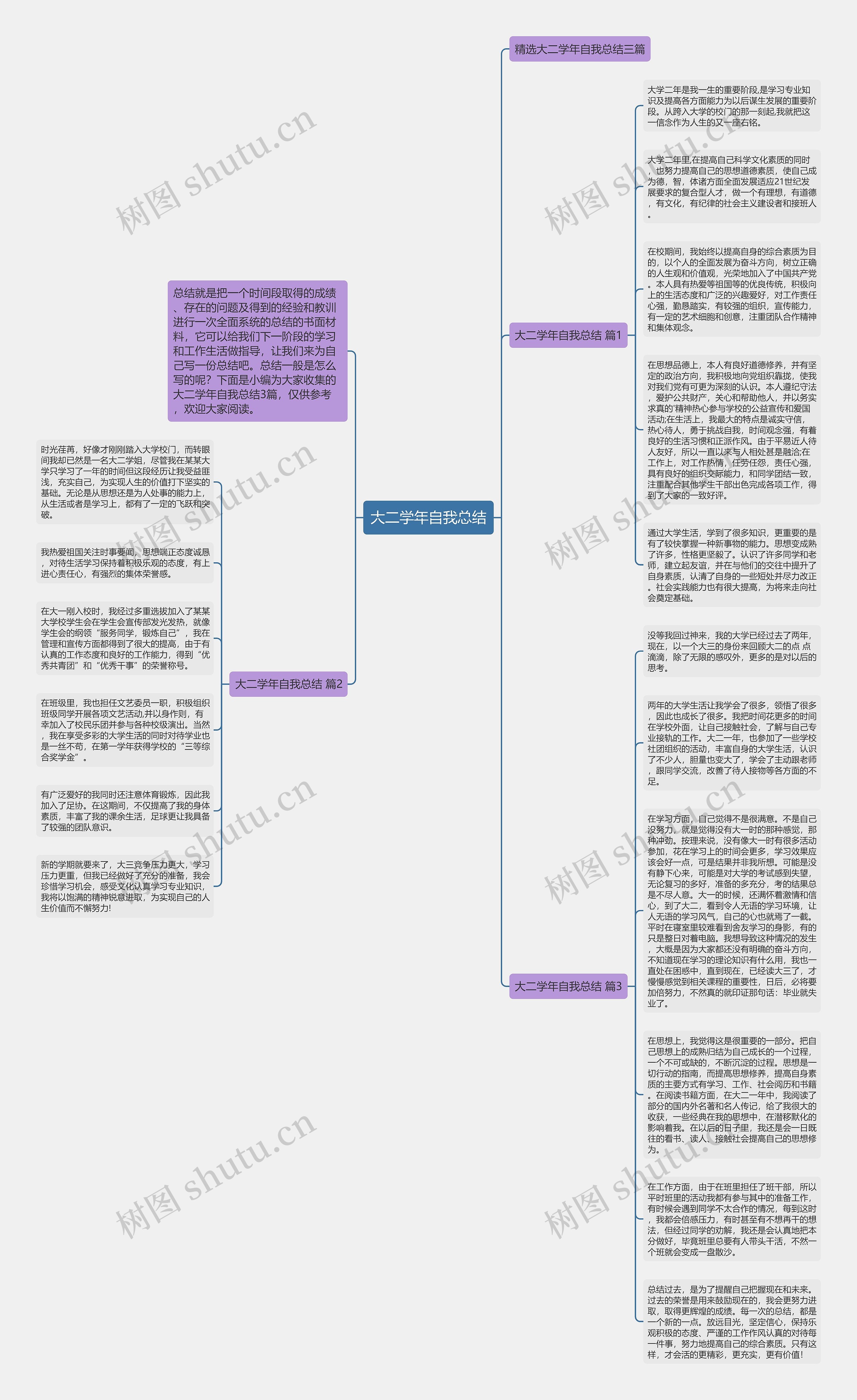 大二学年自我总结思维导图