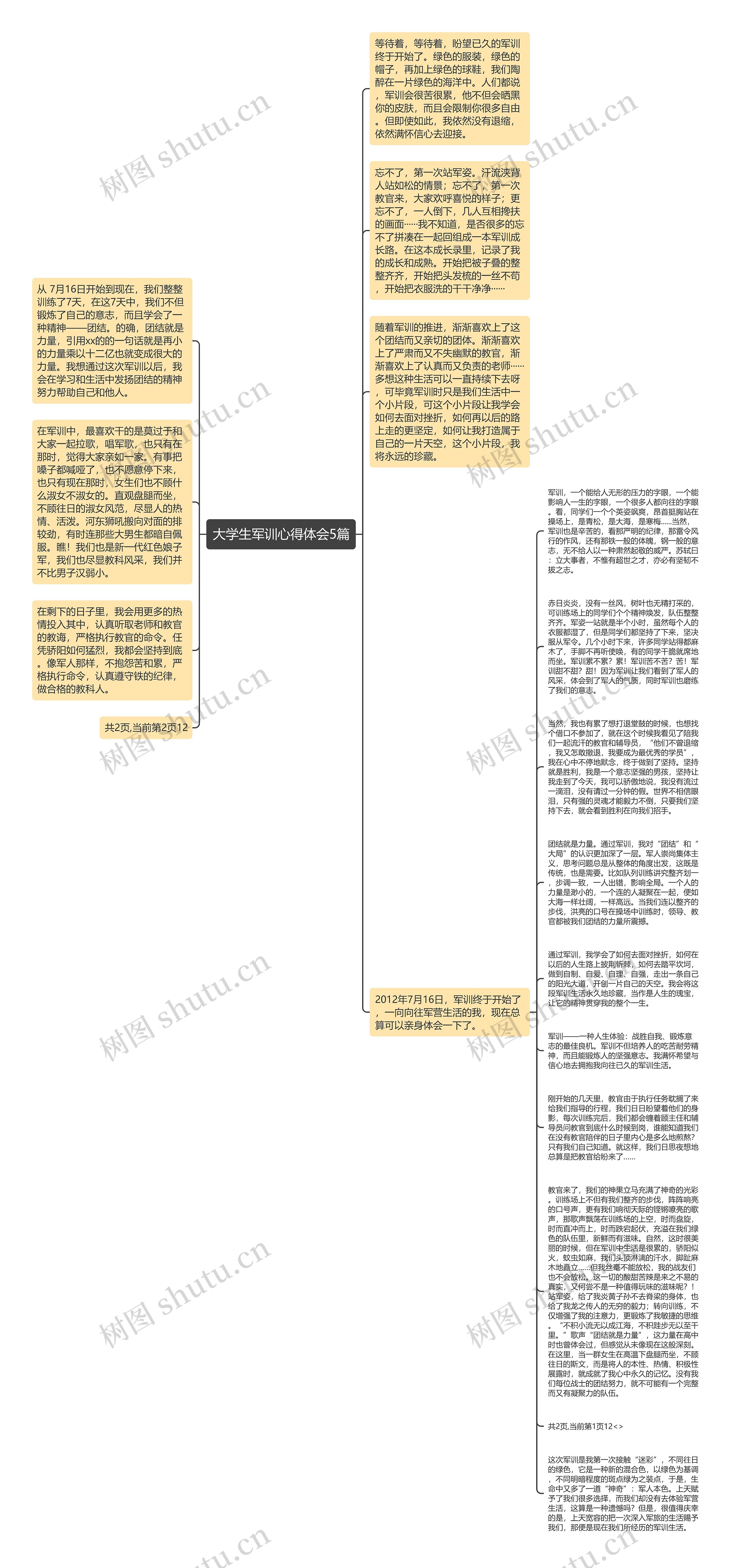 大学生军训心得体会5篇思维导图