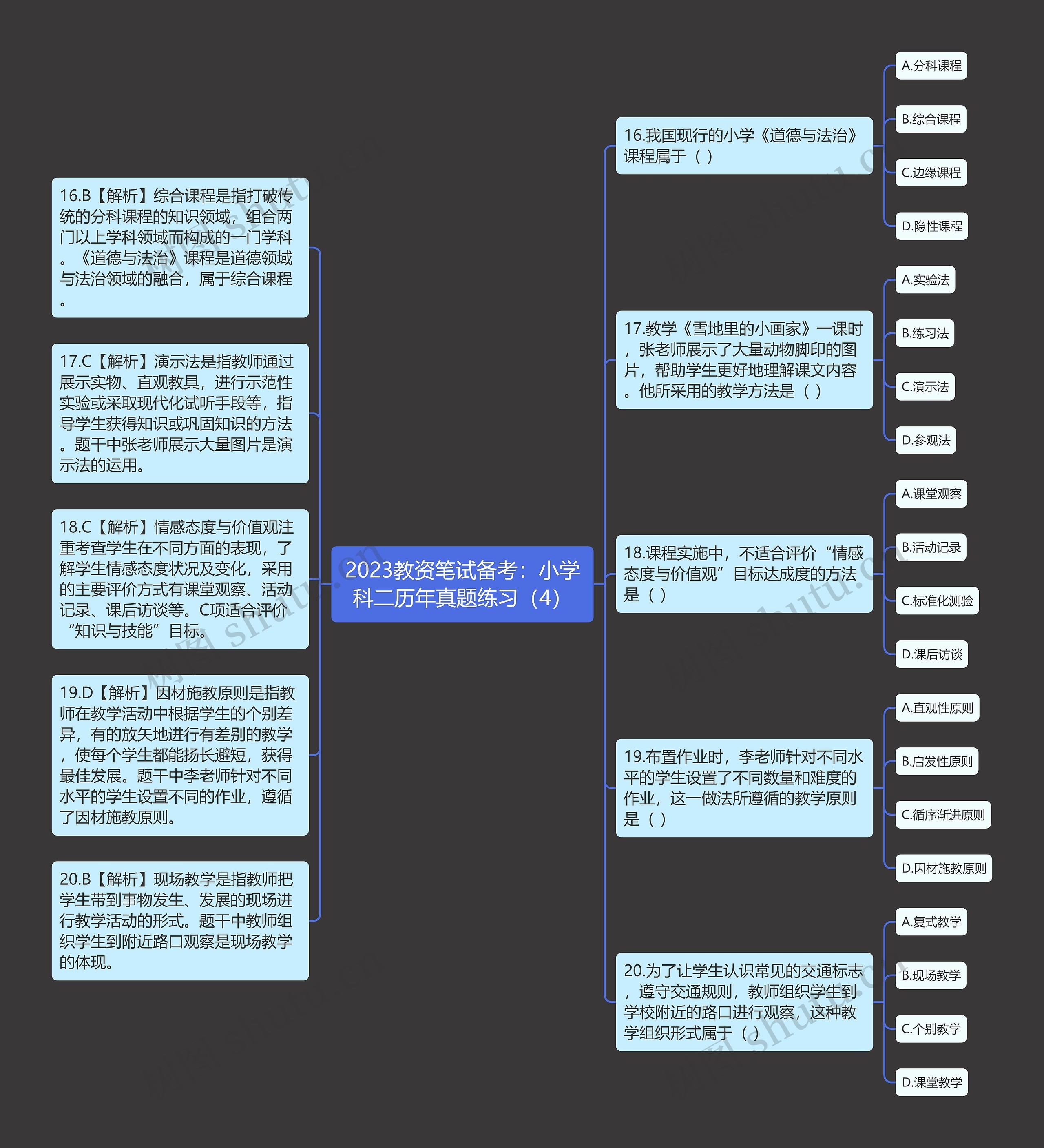 2023教资笔试备考：小学科二历年真题练习（4）思维导图