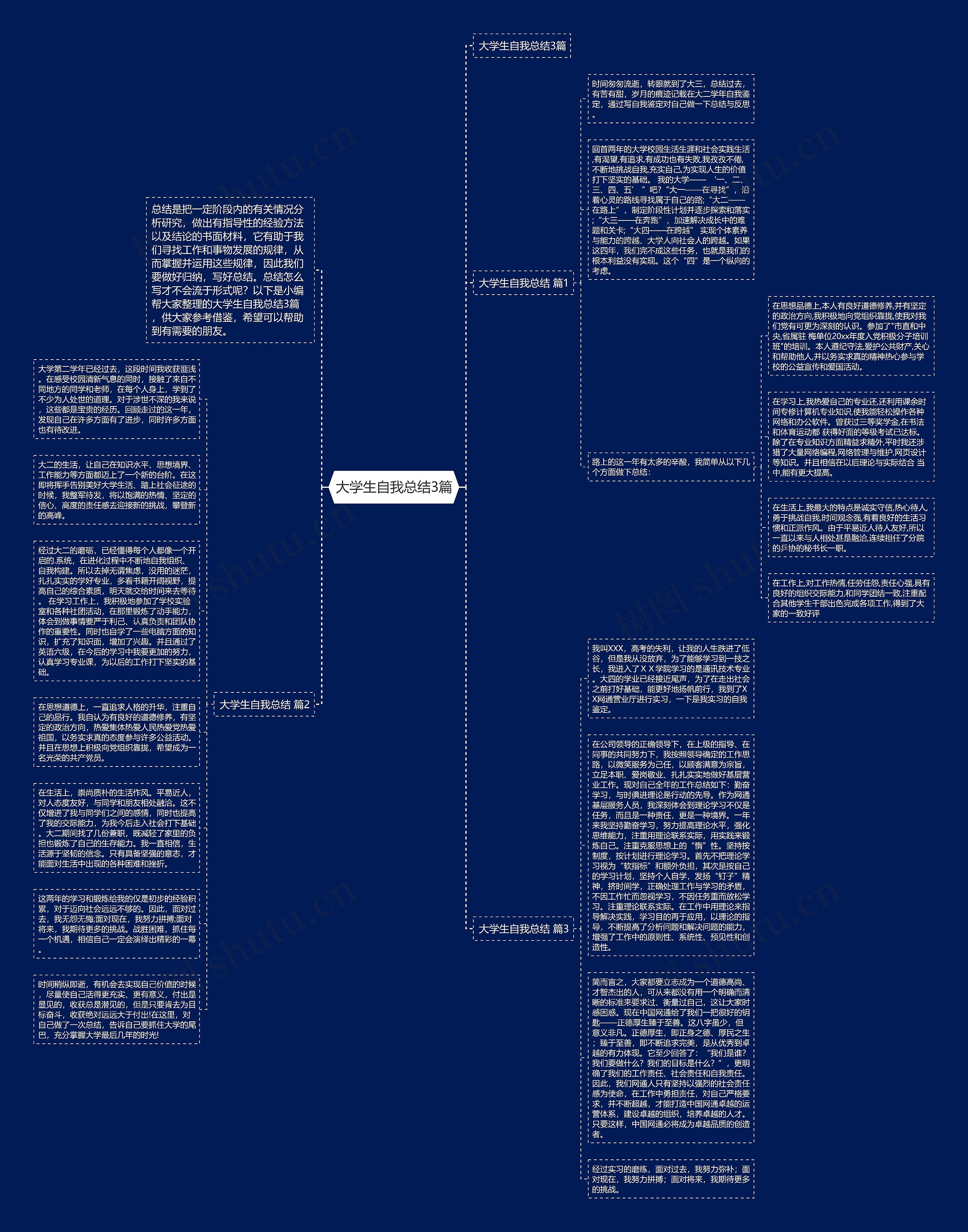 大学生自我总结3篇思维导图