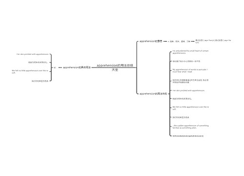 apprehension的用法总结大全