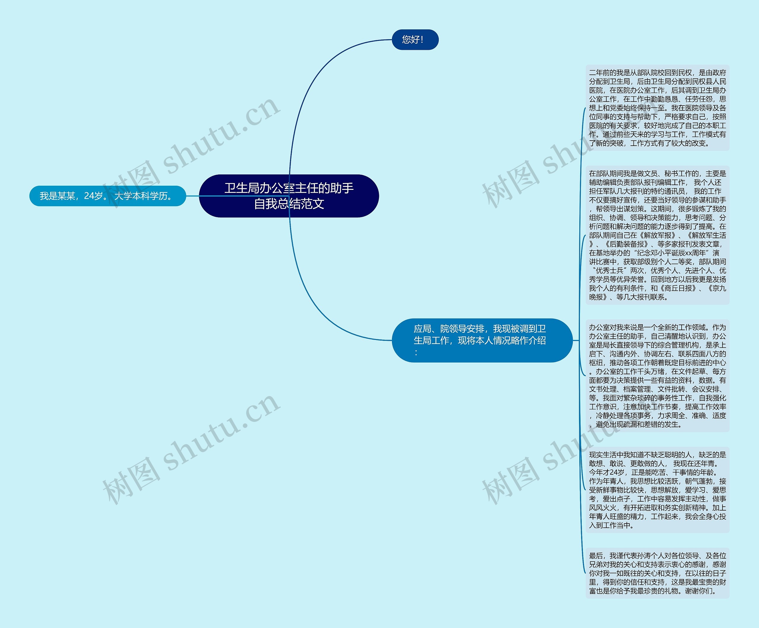 卫生局办公室主任的助手自我总结范文思维导图