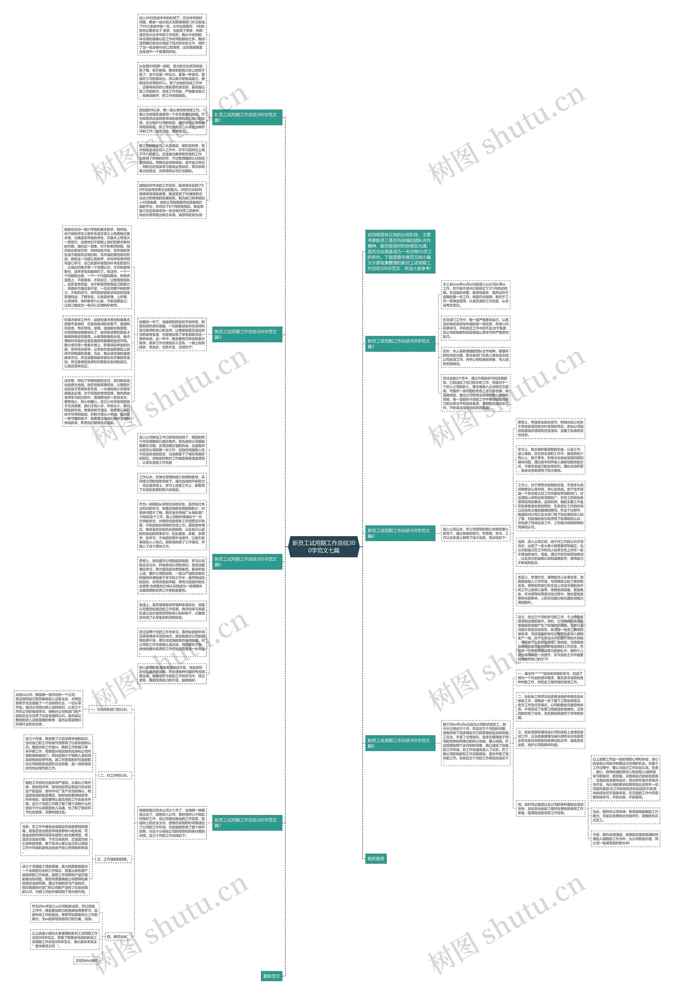 新员工试用期工作总结300字范文七篇思维导图