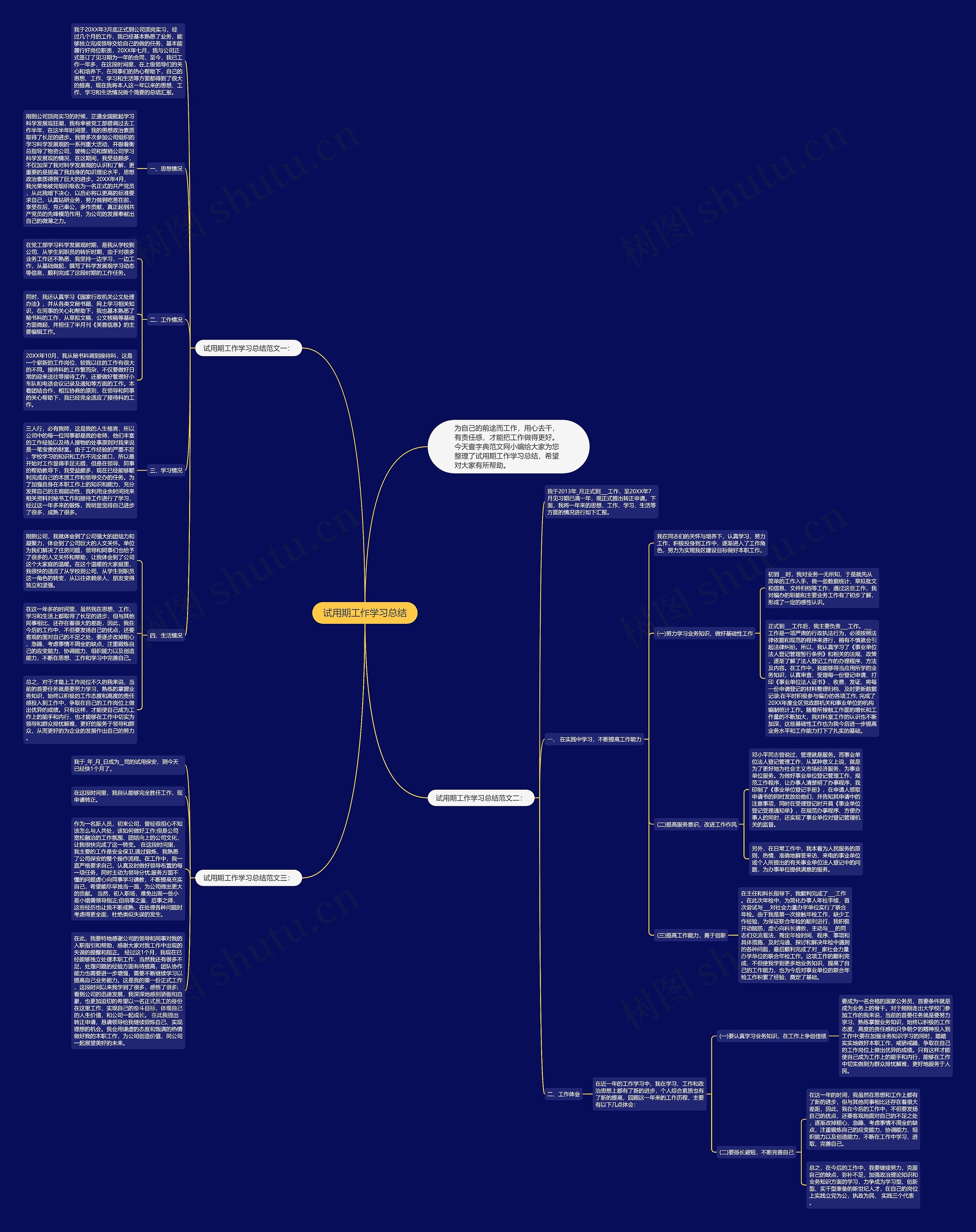 试用期工作学习总结思维导图