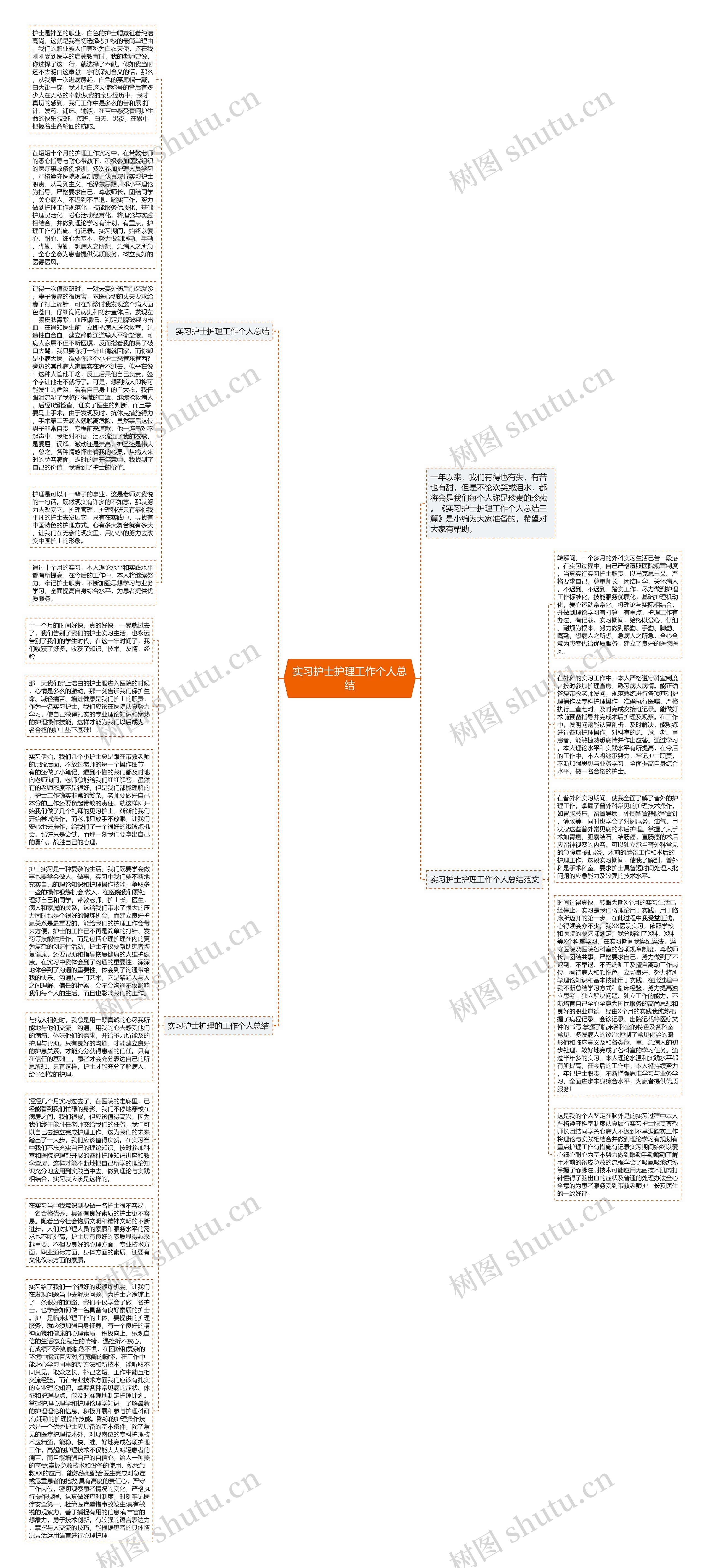 实习护士护理工作个人总结思维导图