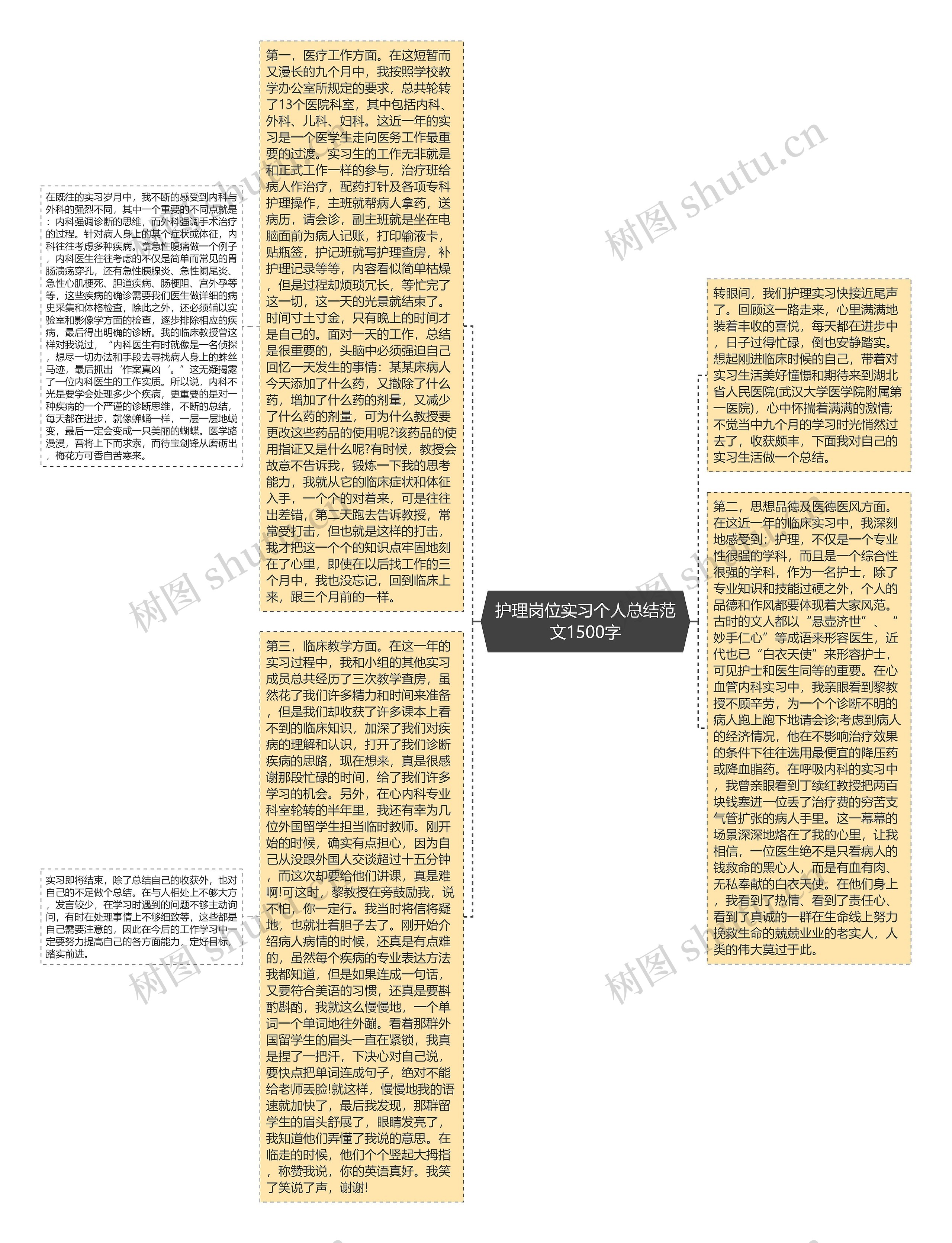 护理岗位实习个人总结范文1500字思维导图