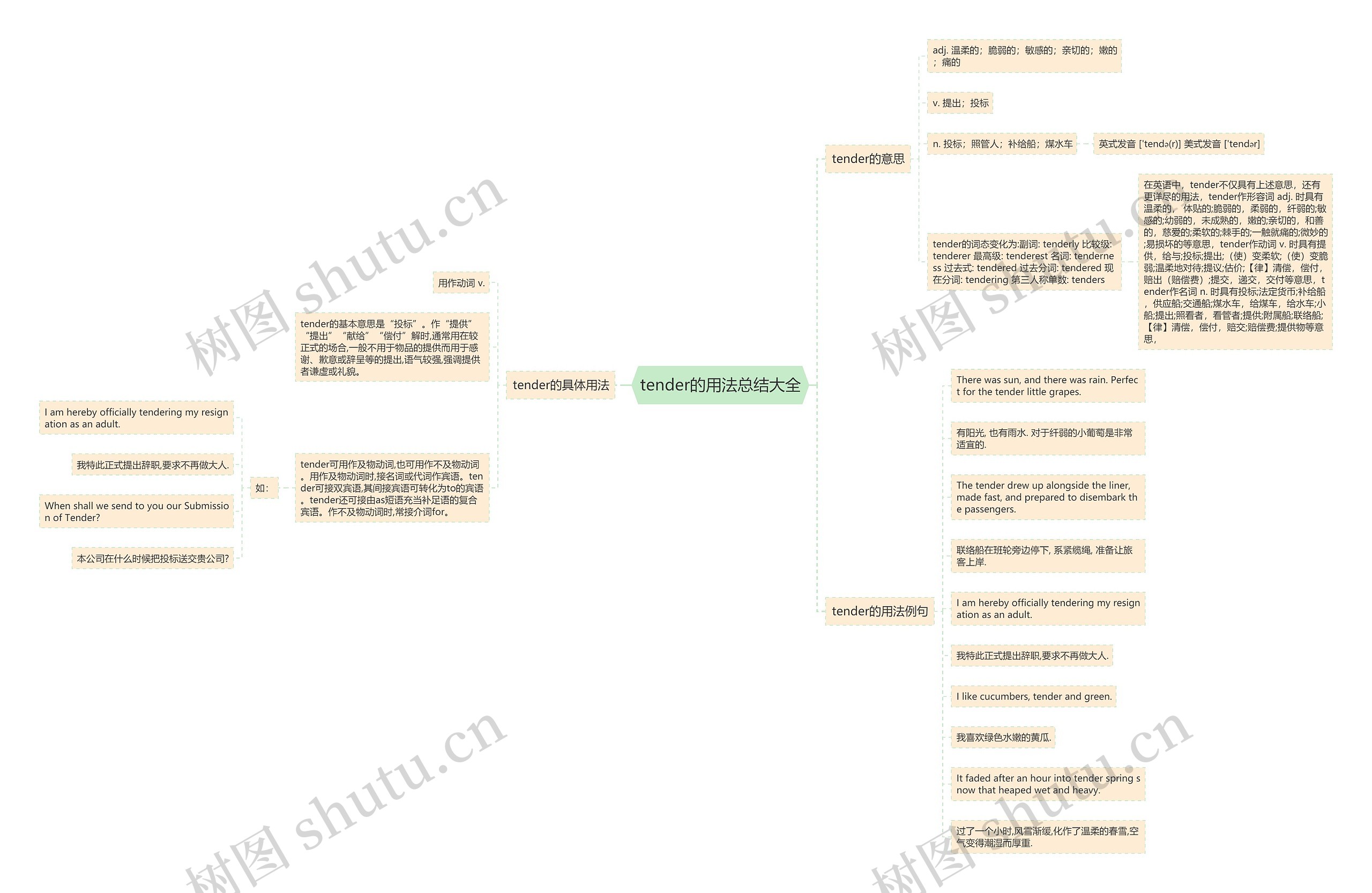 tender的用法总结大全思维导图