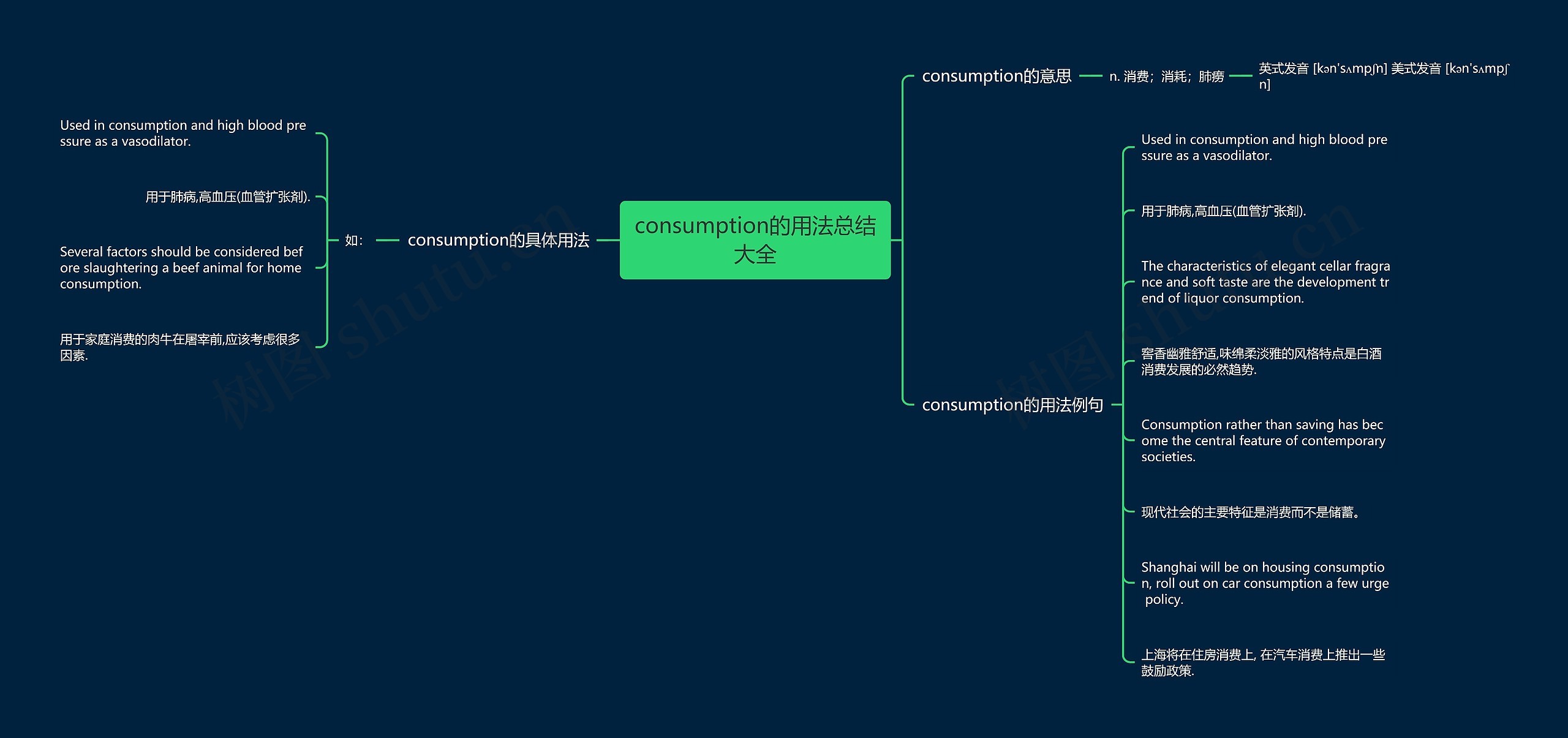 consumption的用法总结大全思维导图