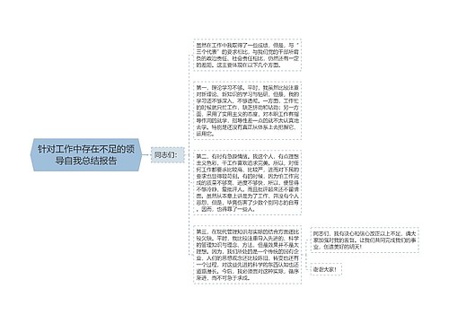 针对工作中存在不足的领导自我总结报告