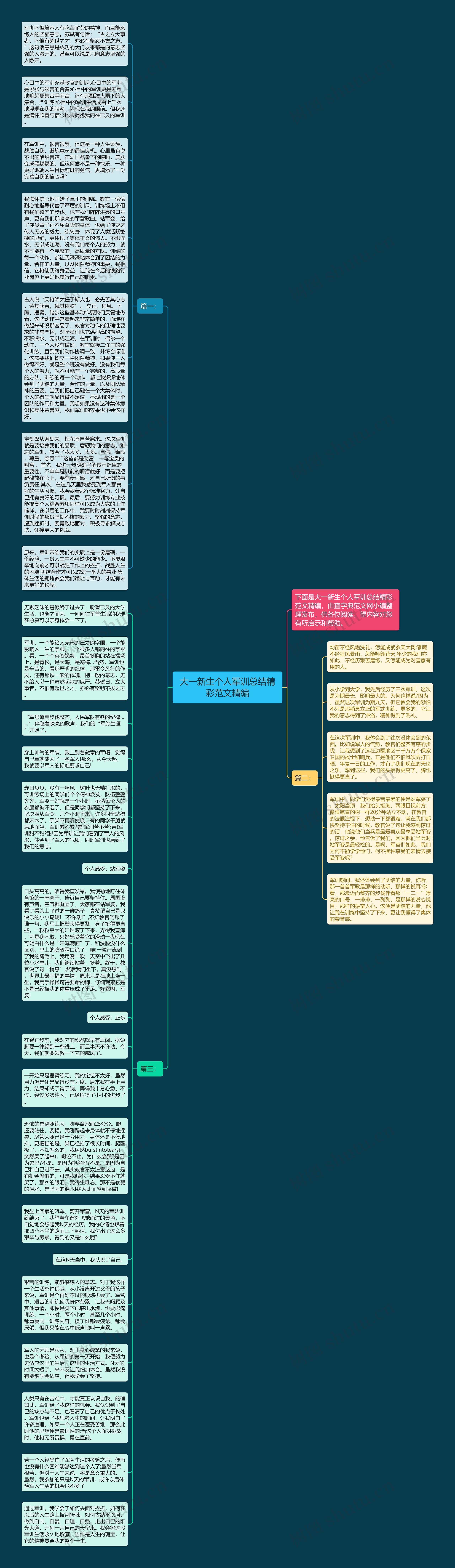 大一新生个人军训总结精彩范文精编思维导图