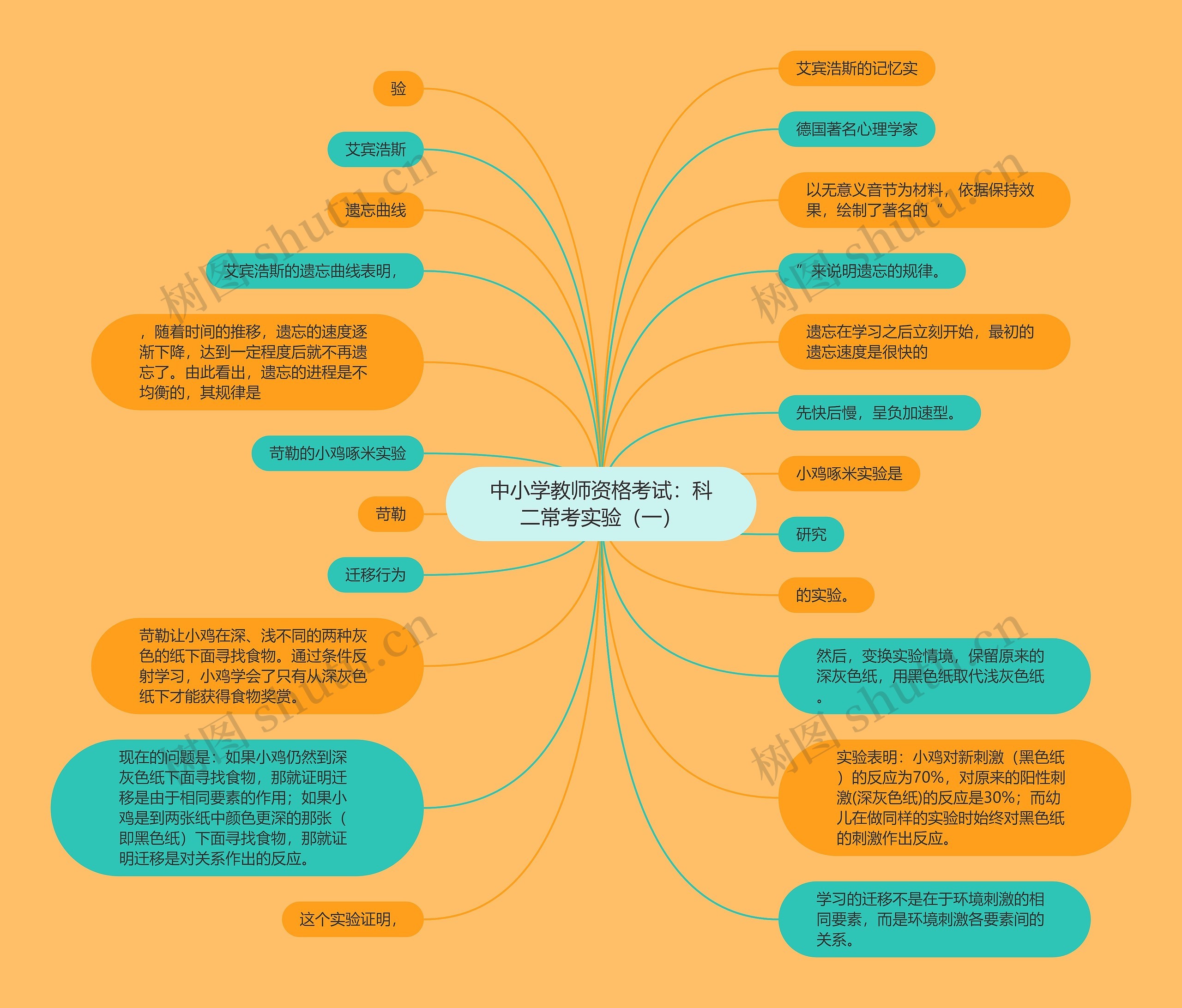 中小学教师资格考试：科二常考实验（一）思维导图