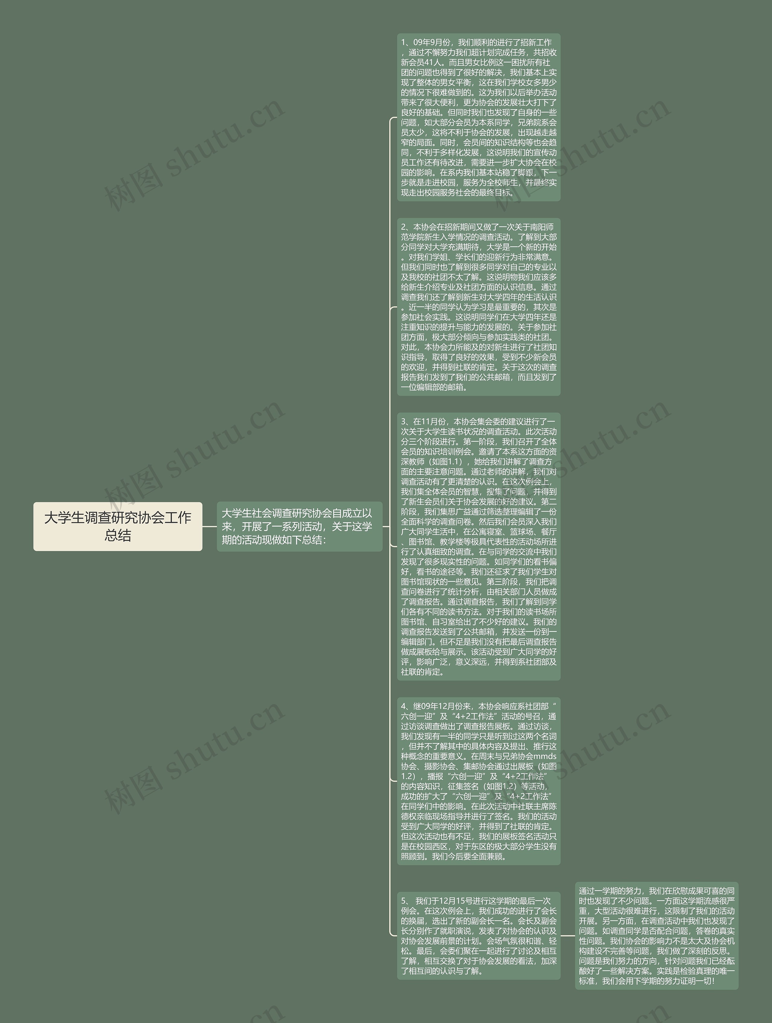 大学生调查研究协会工作总结