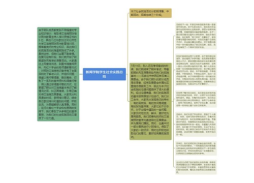 新闻学院学生社会实践总结