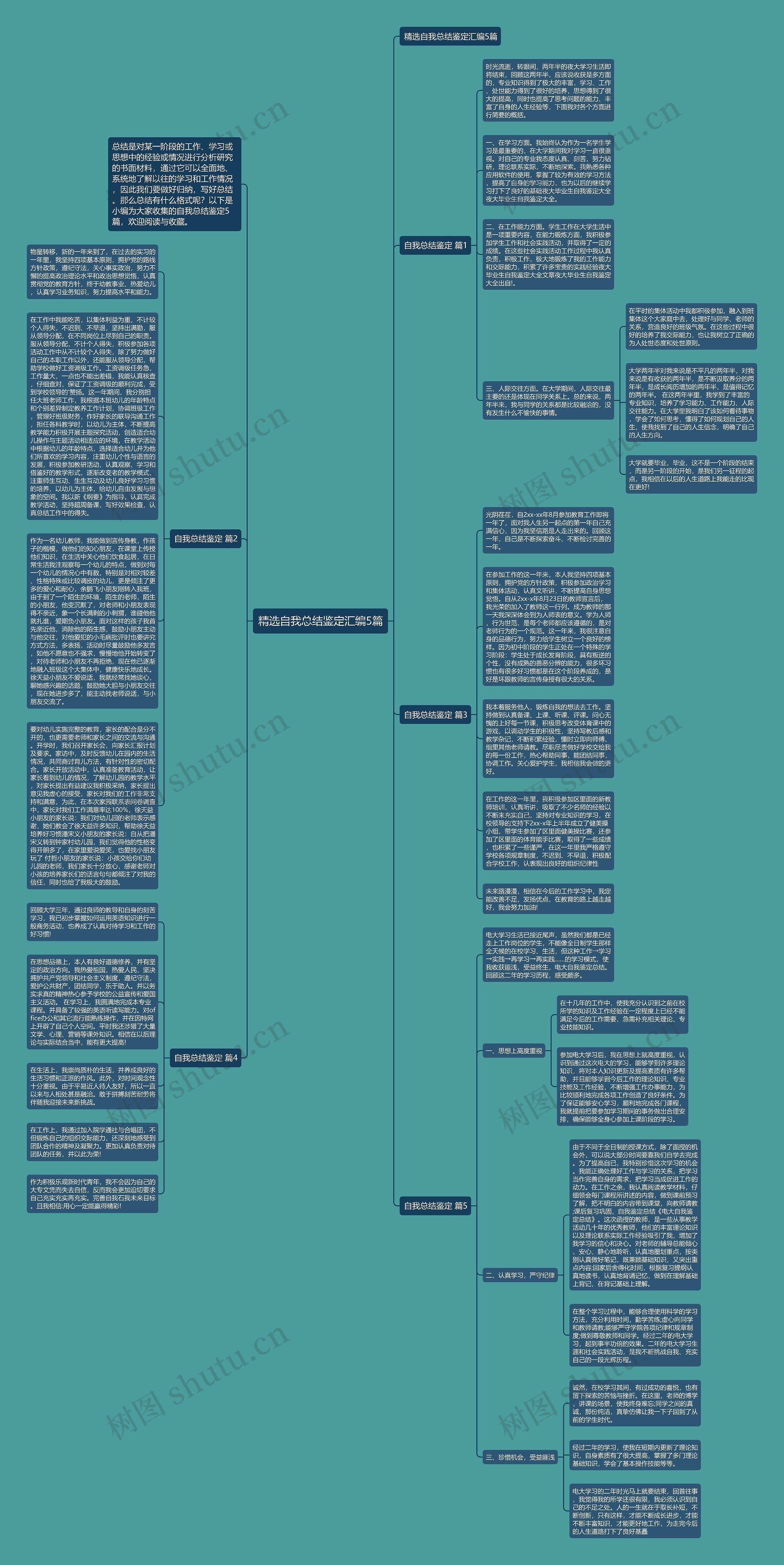 精选自我总结鉴定汇编5篇思维导图