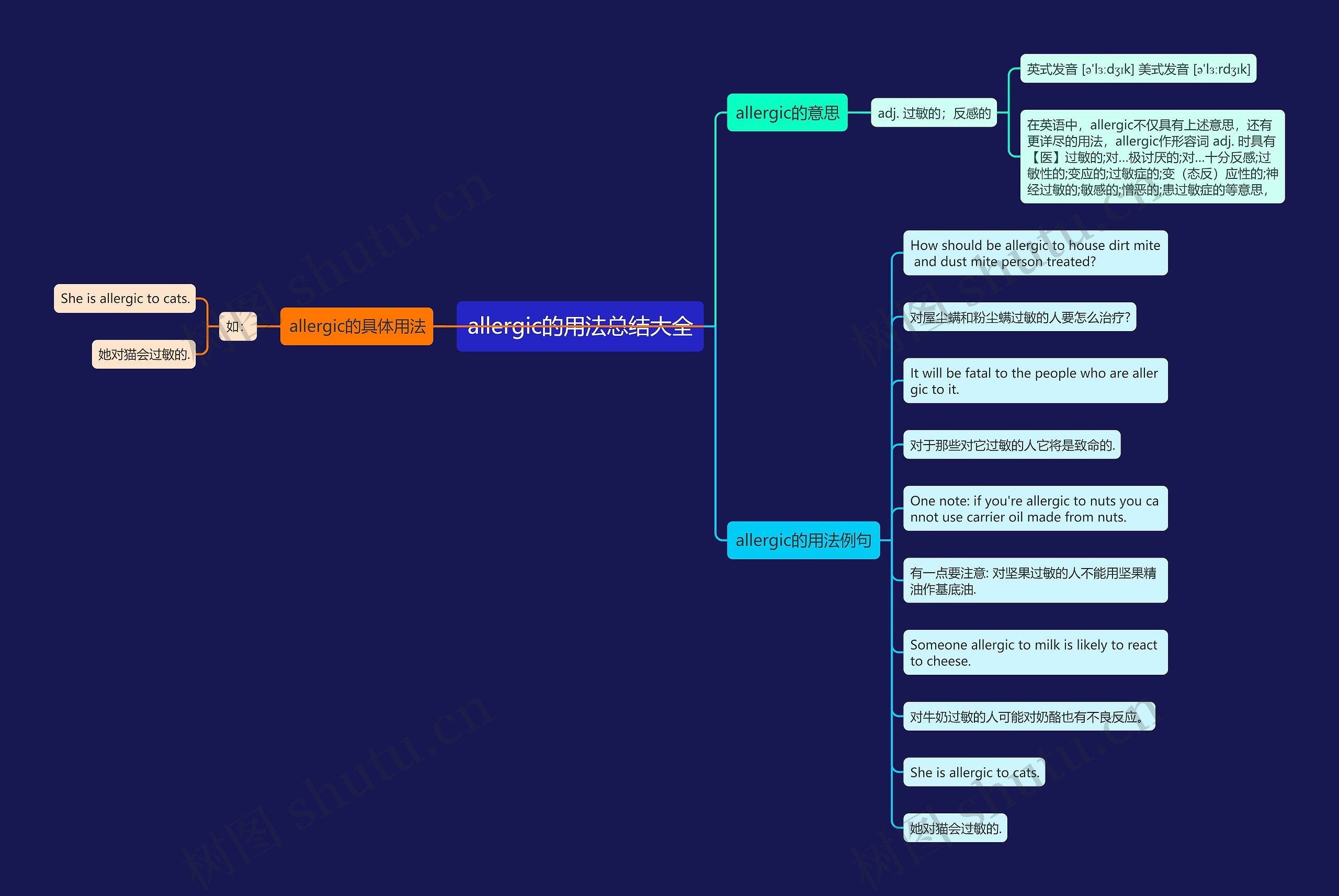allergic的用法总结大全思维导图