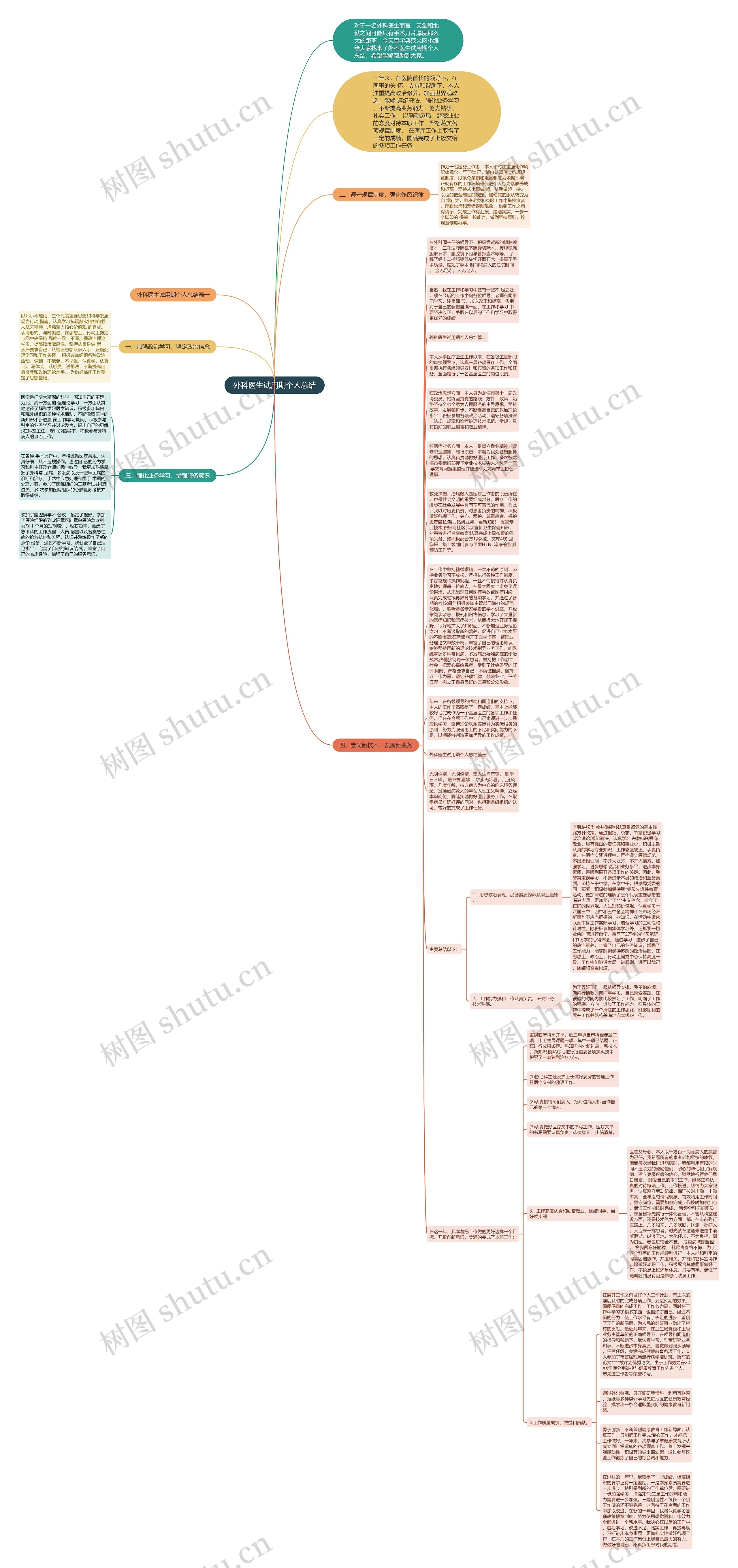 外科医生试用期个人总结思维导图