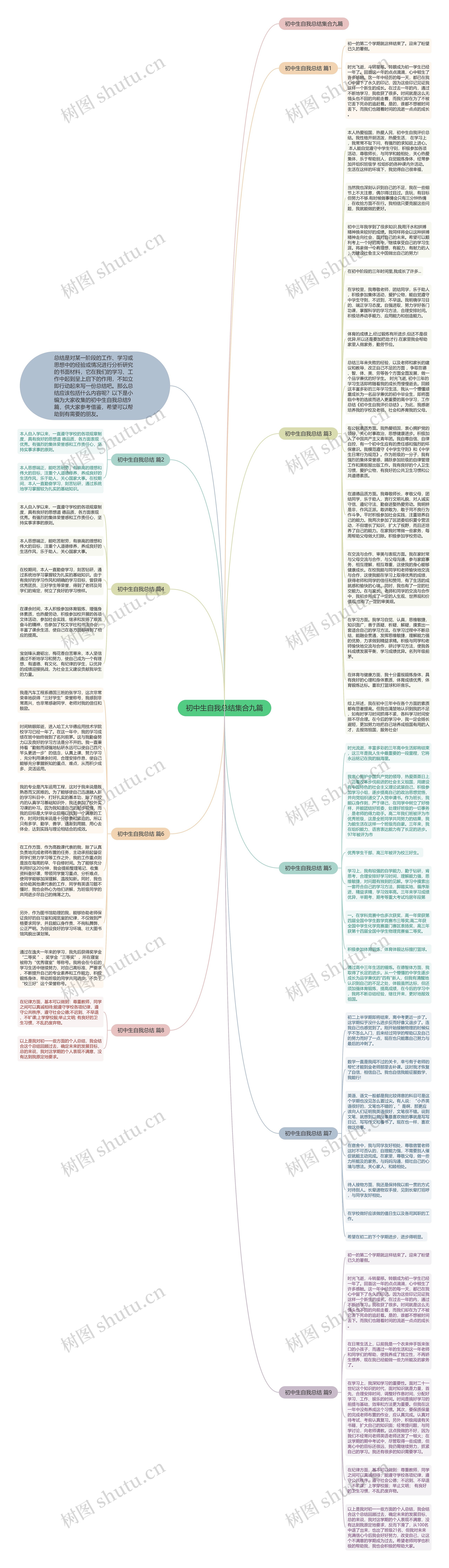 初中生自我总结集合九篇思维导图